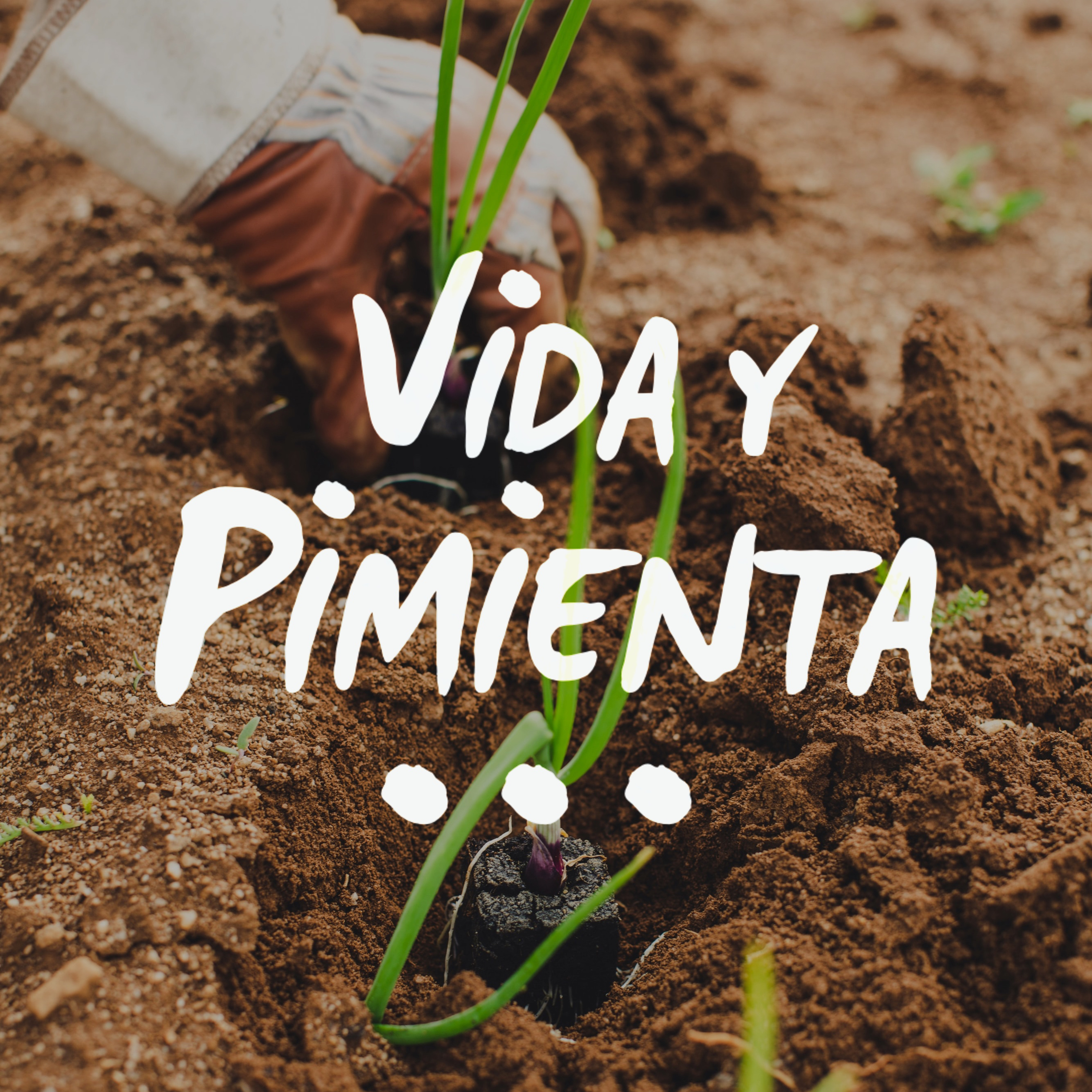 Vida y Pimienta: Vida Cero Residuo