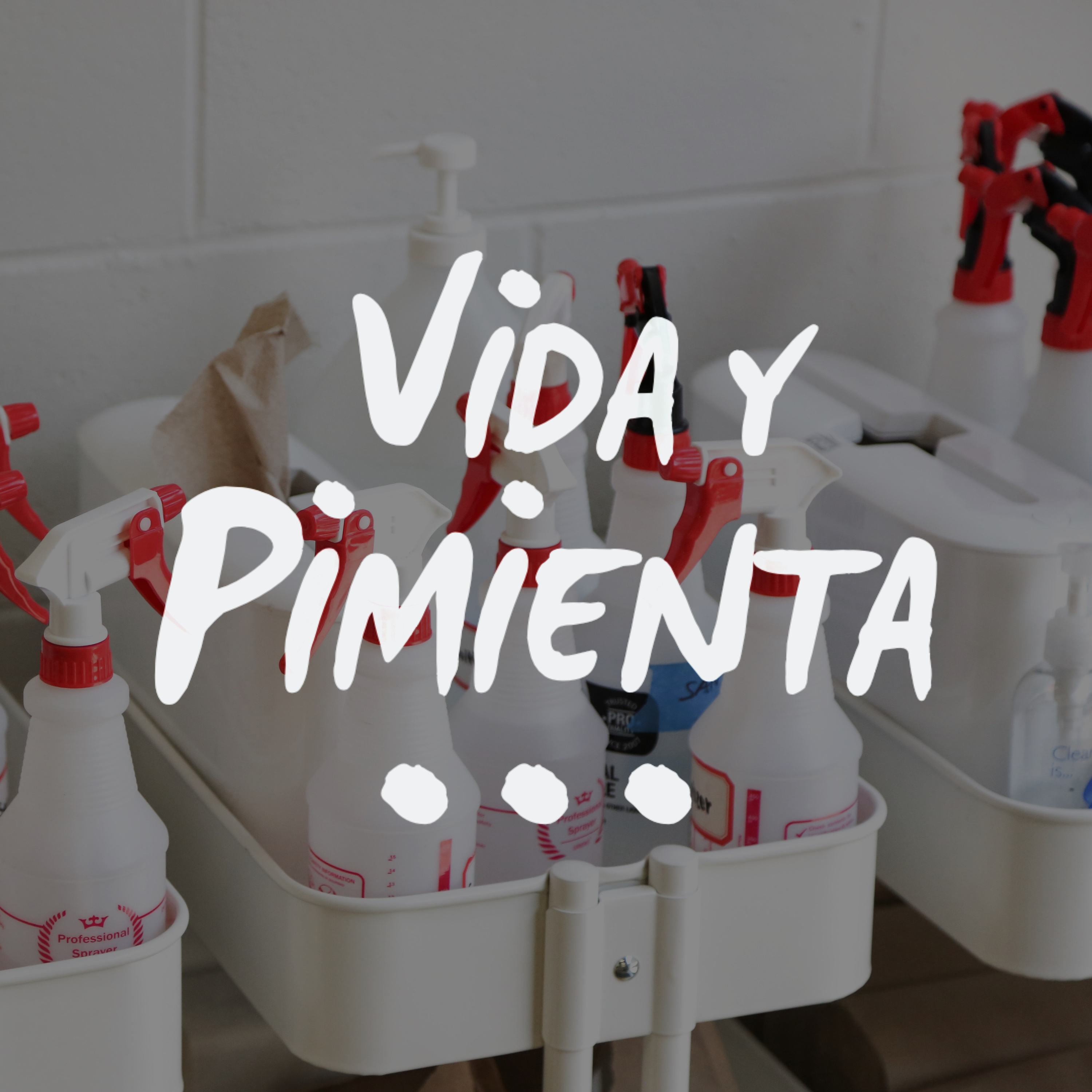 Vida y Pimienta: Vida Cero Residuo