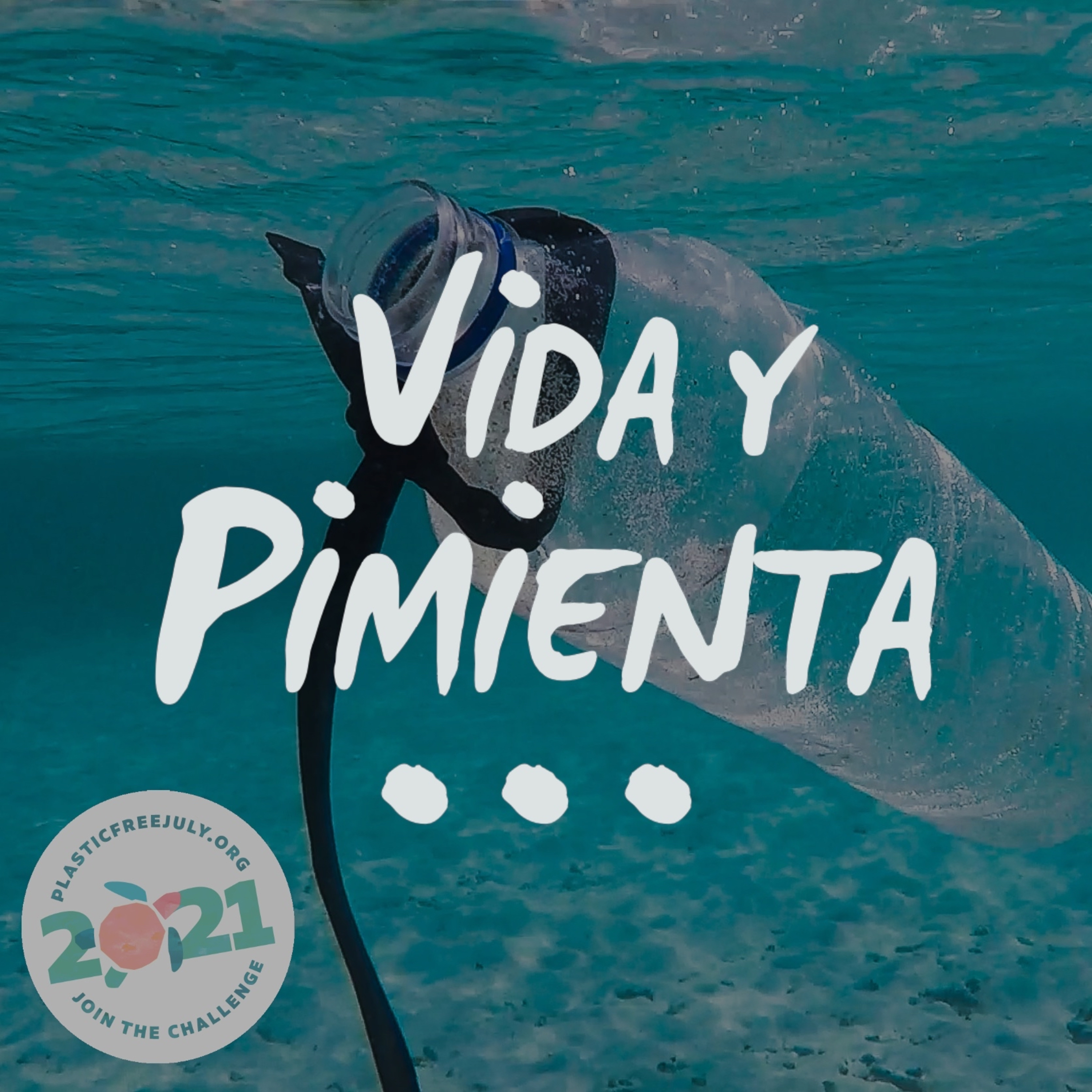 Vida y Pimienta: Vida Cero Residuo
