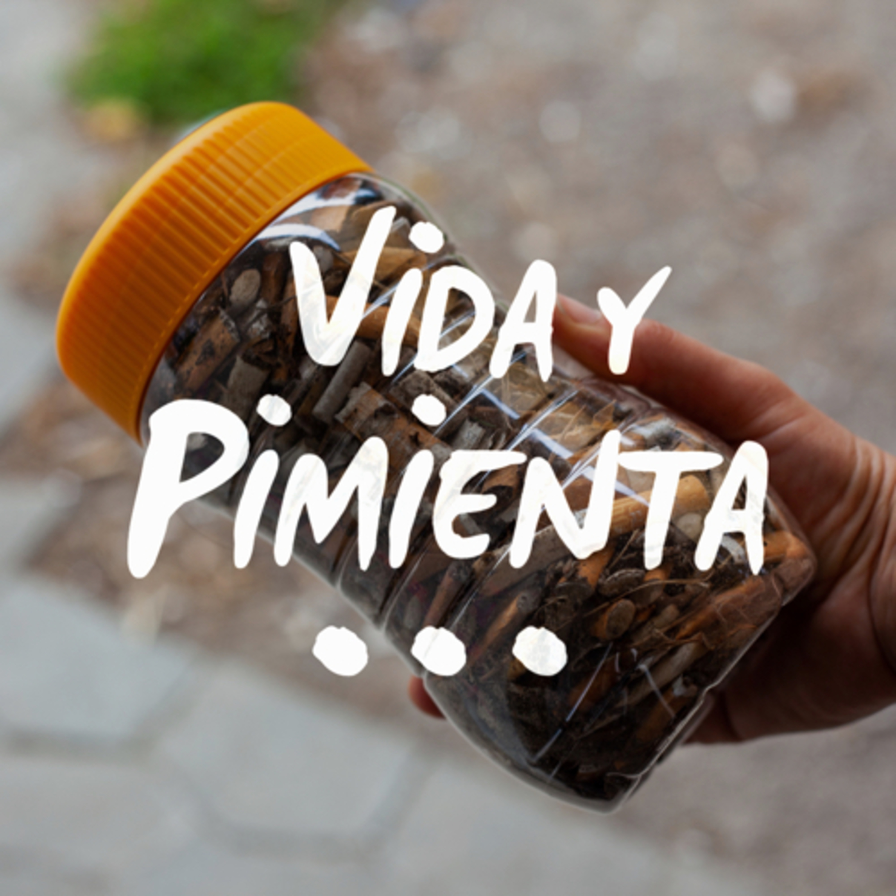 Vida y Pimienta: Vida Cero Residuo