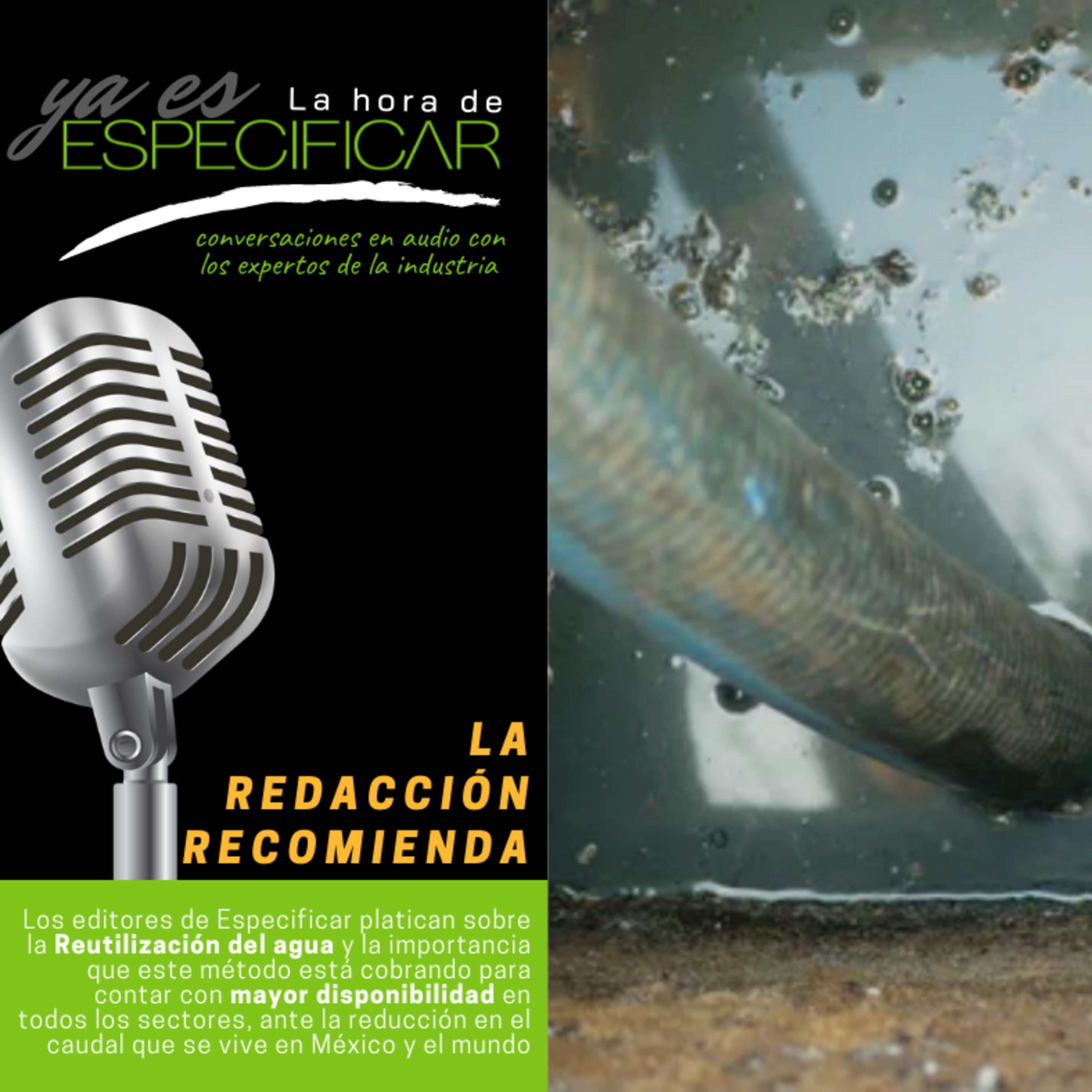 La Hora de Especificar