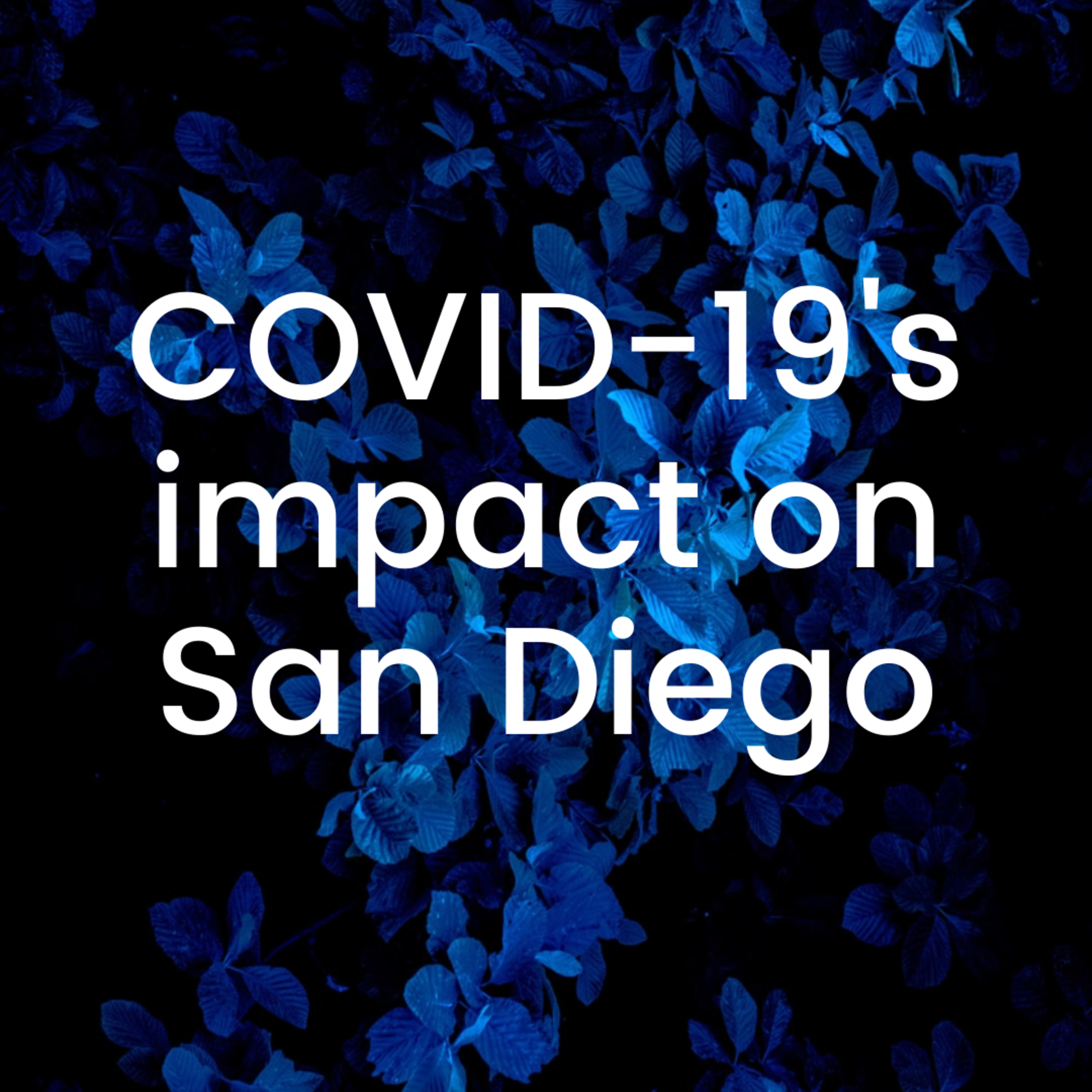COVID-19 Impact on San Diego episode artwork