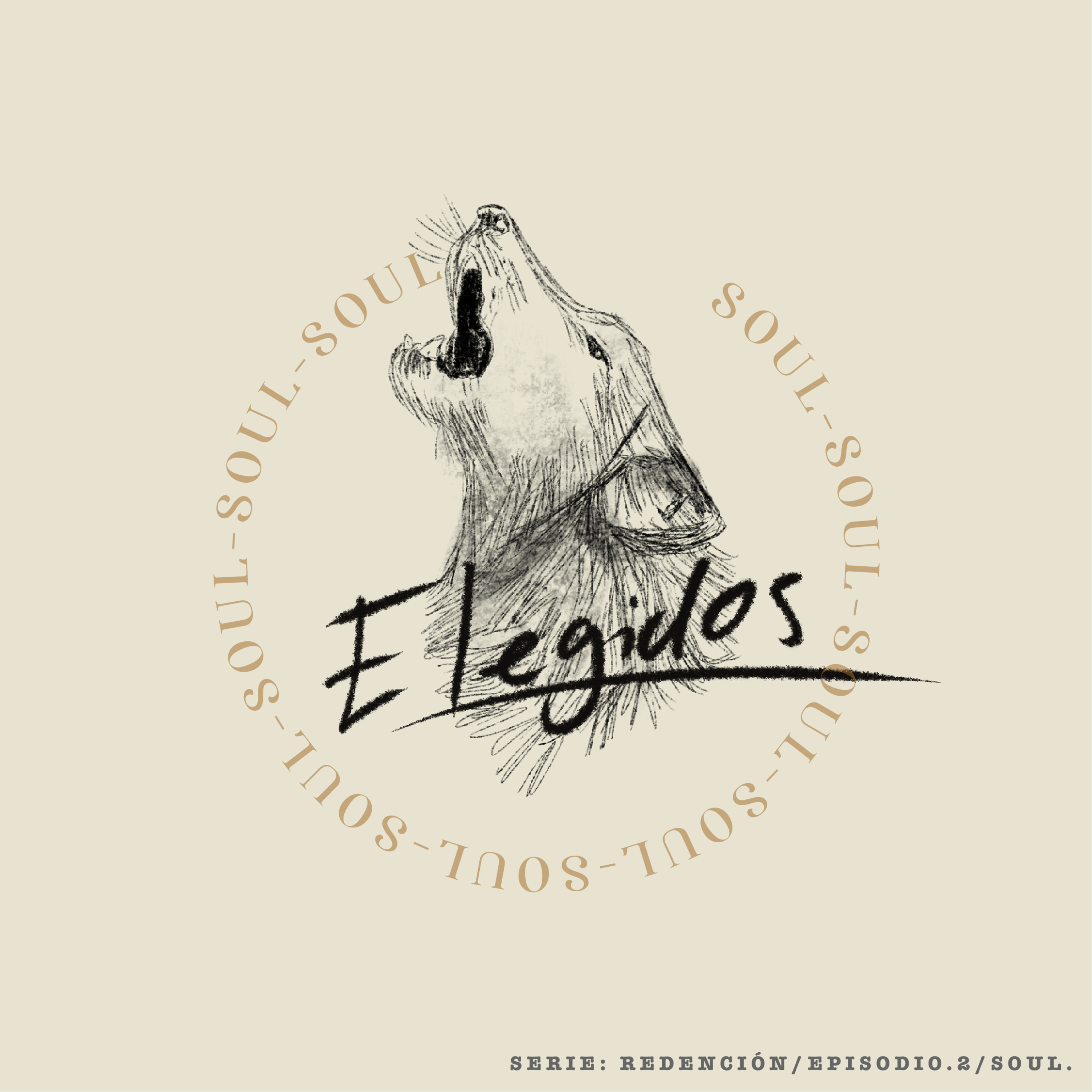 Elegido.