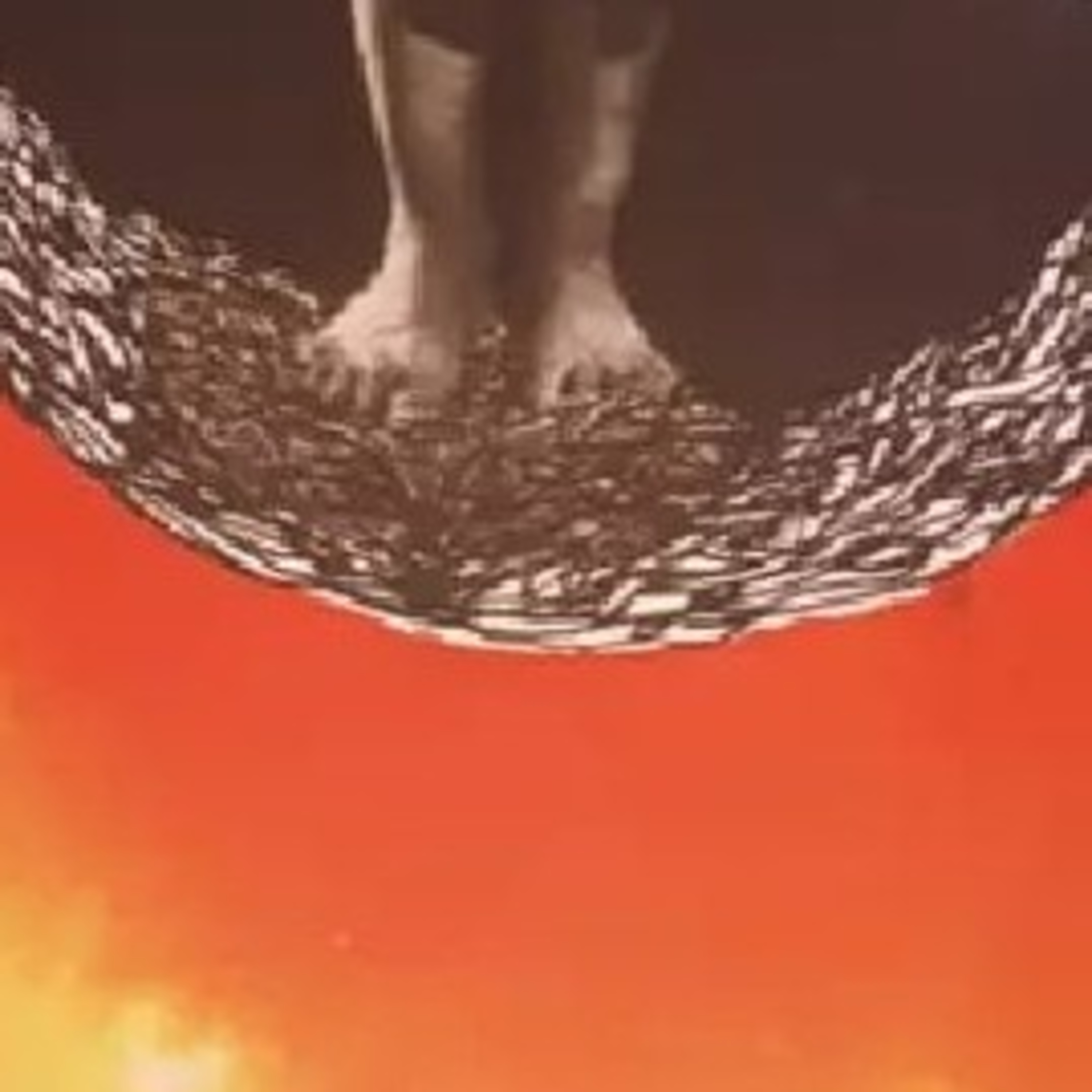 The FeelingPath ILLUMINATED☀️