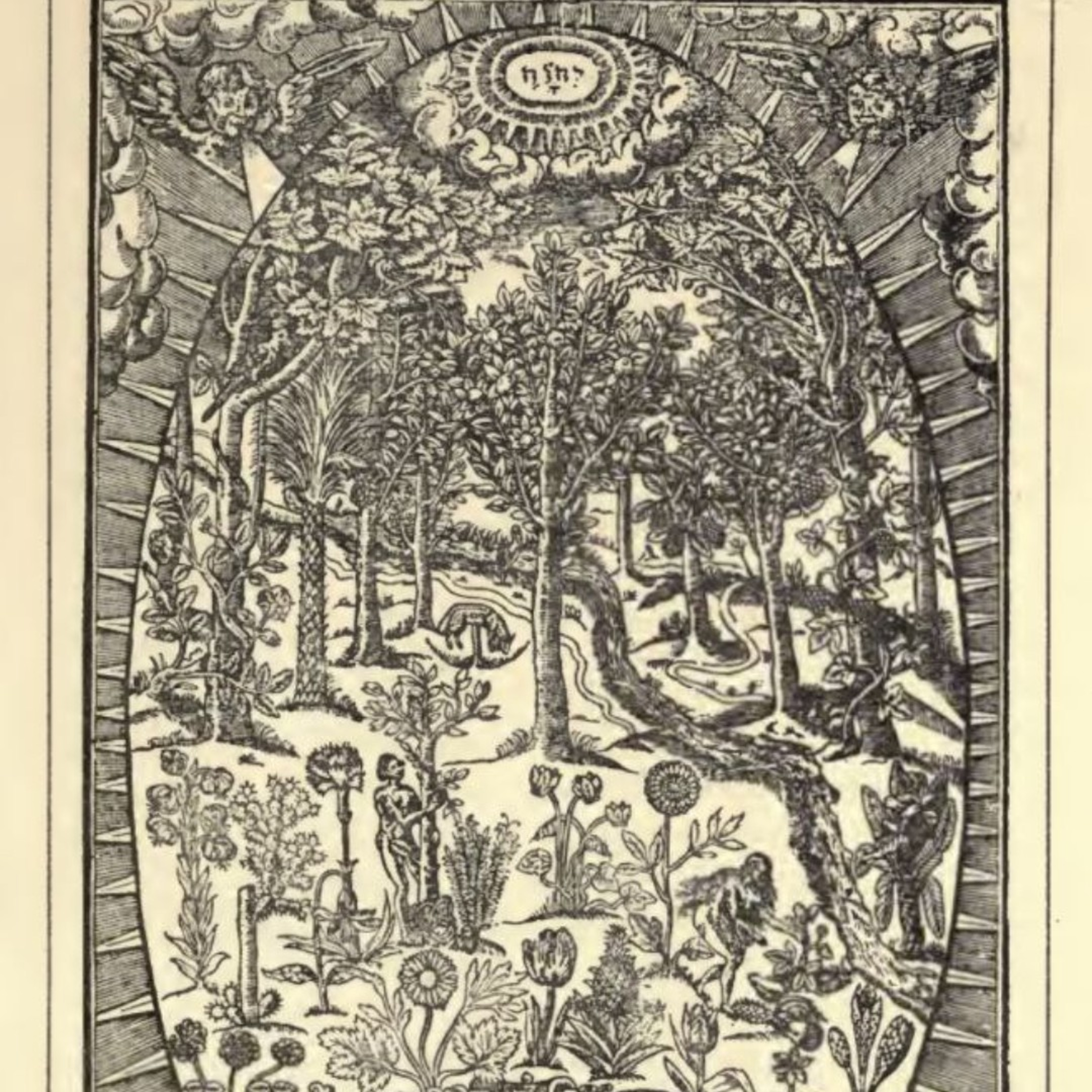 The FeelingPath ILLUMINATED☀️