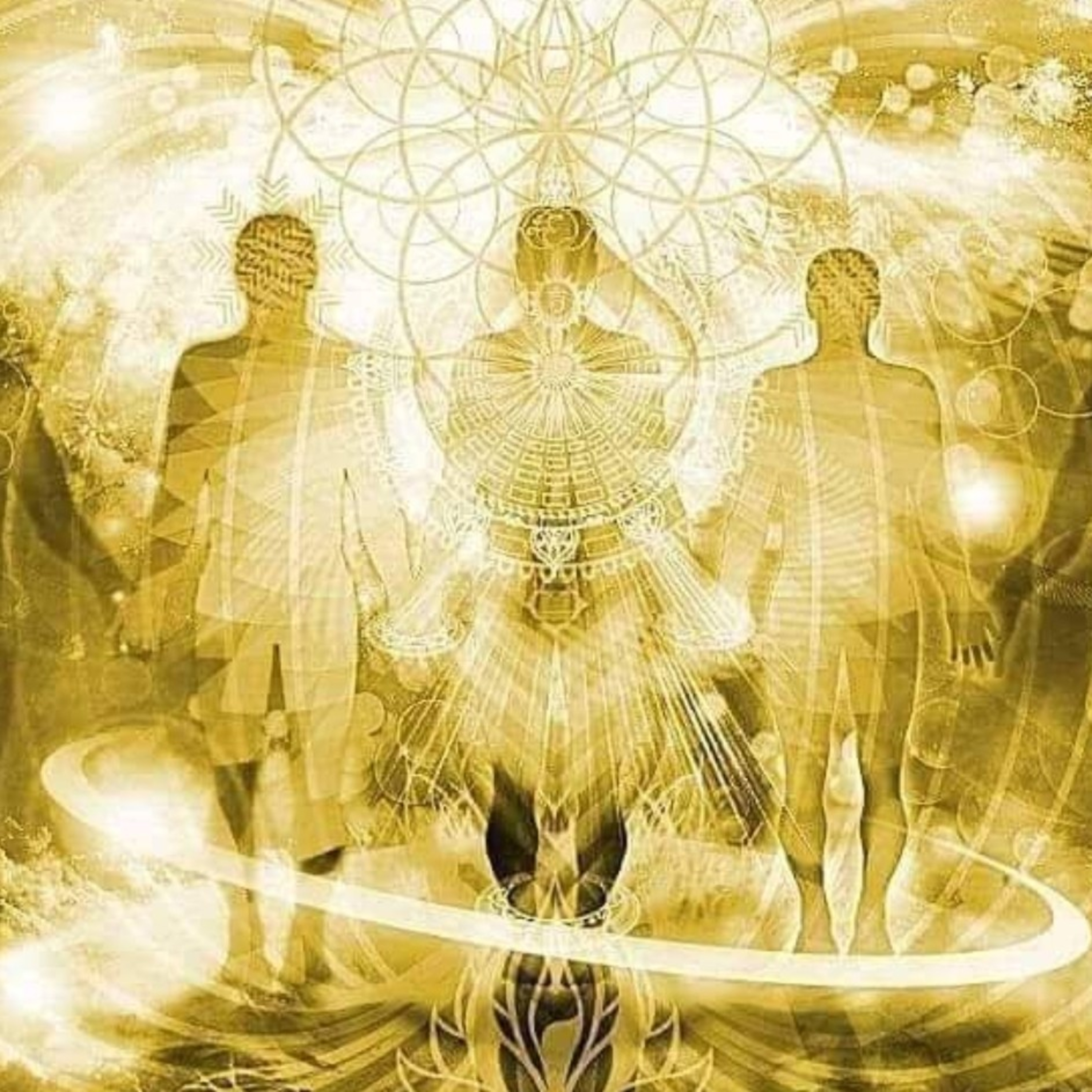 The FeelingPath ILLUMINATED☀️