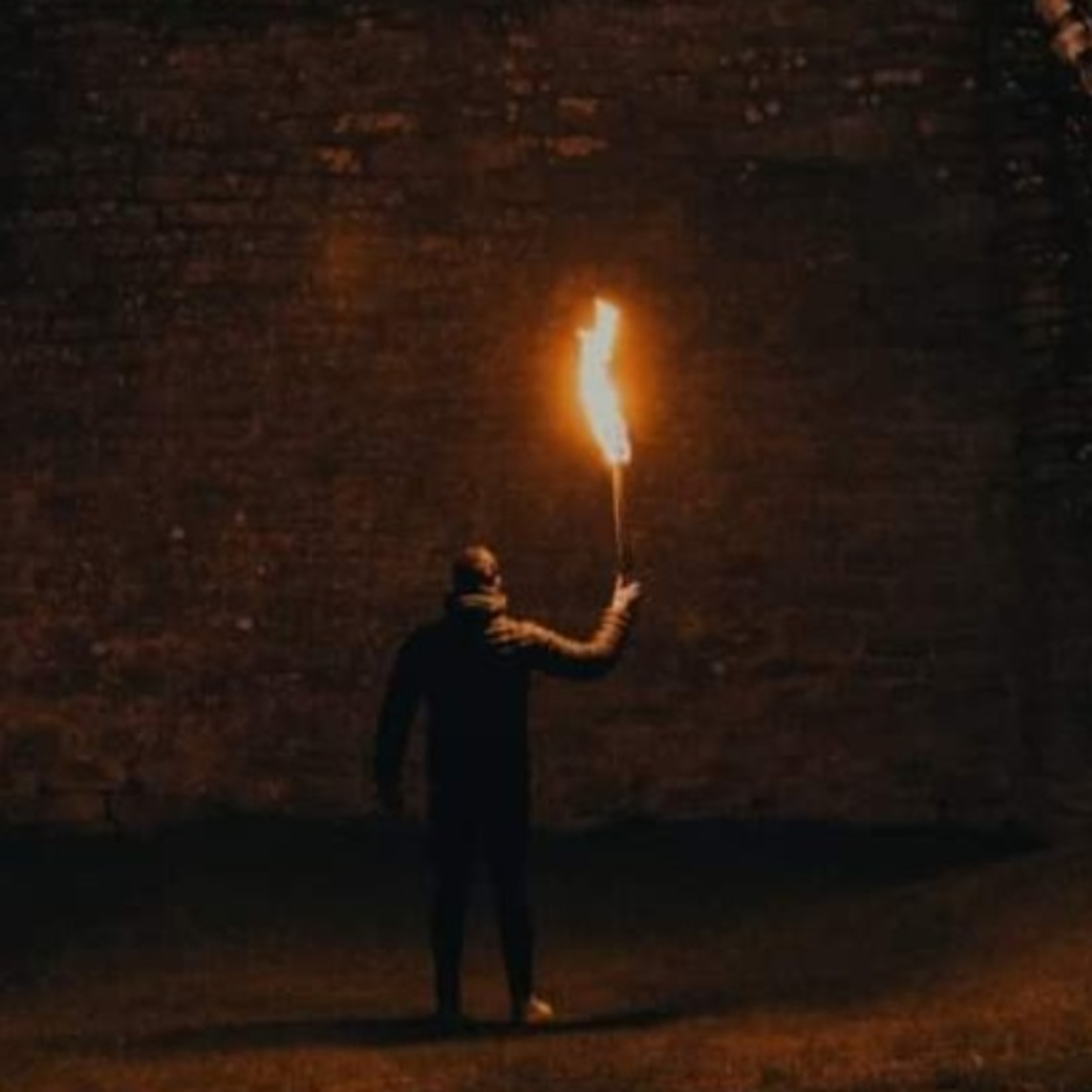 The FeelingPath ILLUMINATED☀️