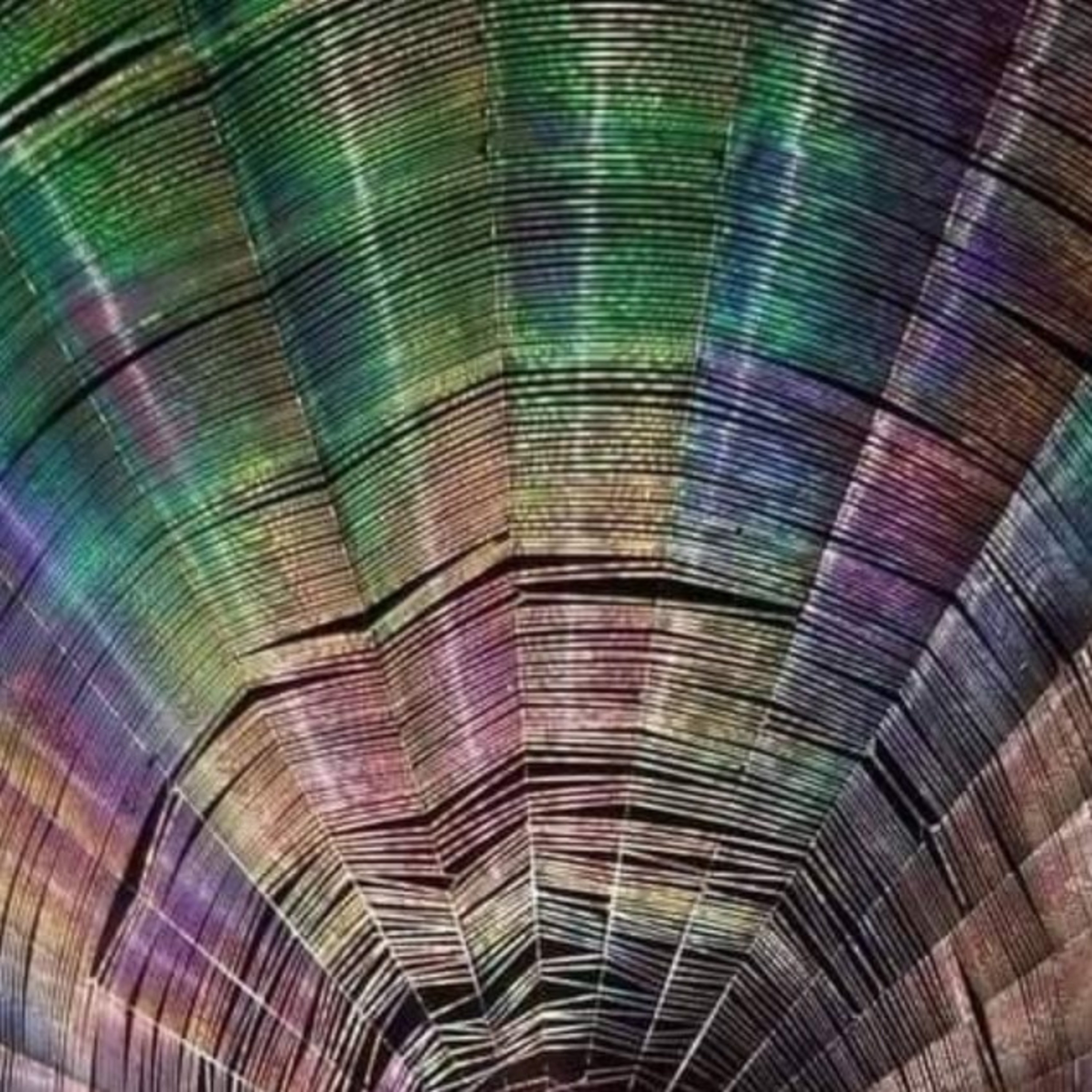 The FeelingPath ILLUMINATED☀️