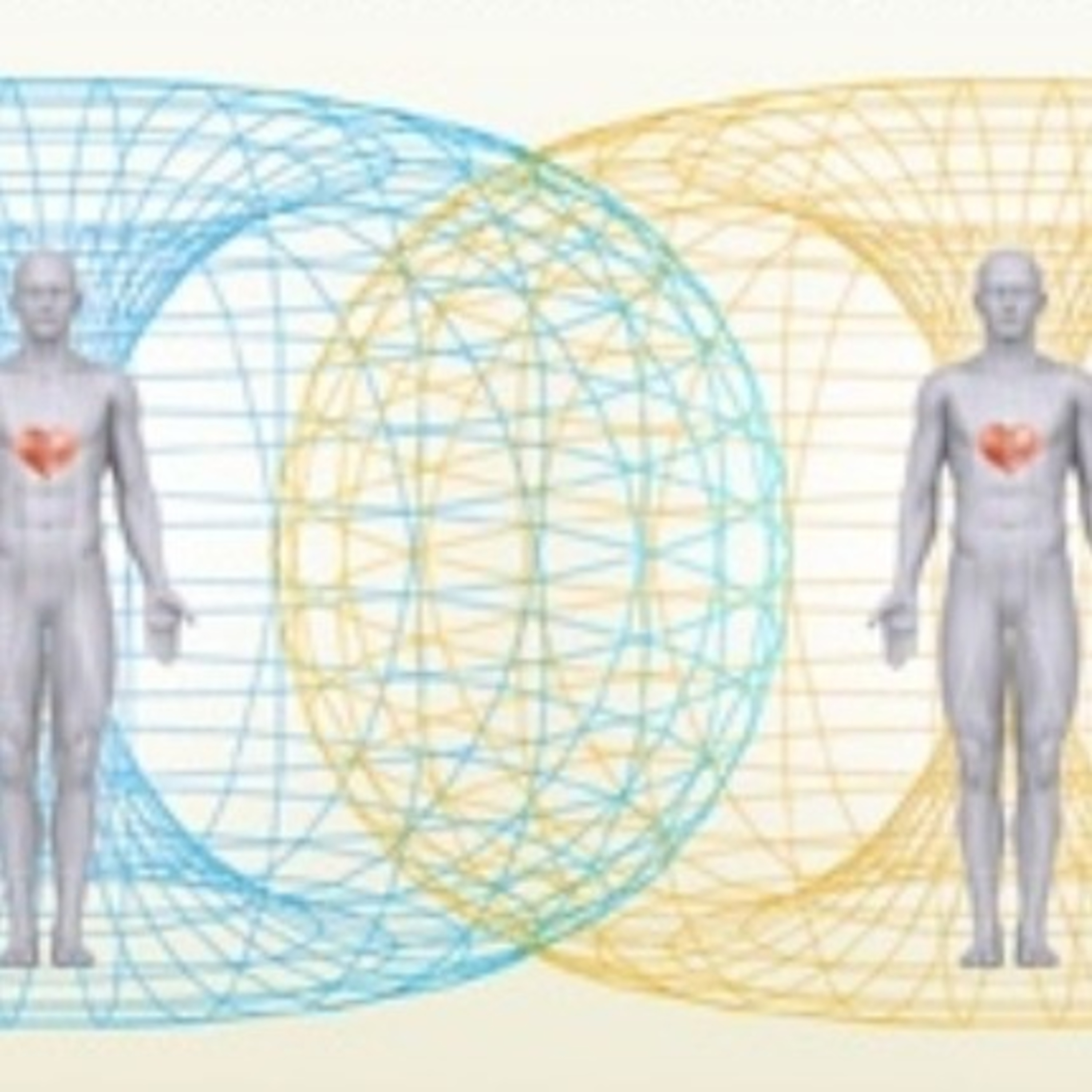 The FeelingPath ILLUMINATED☀️