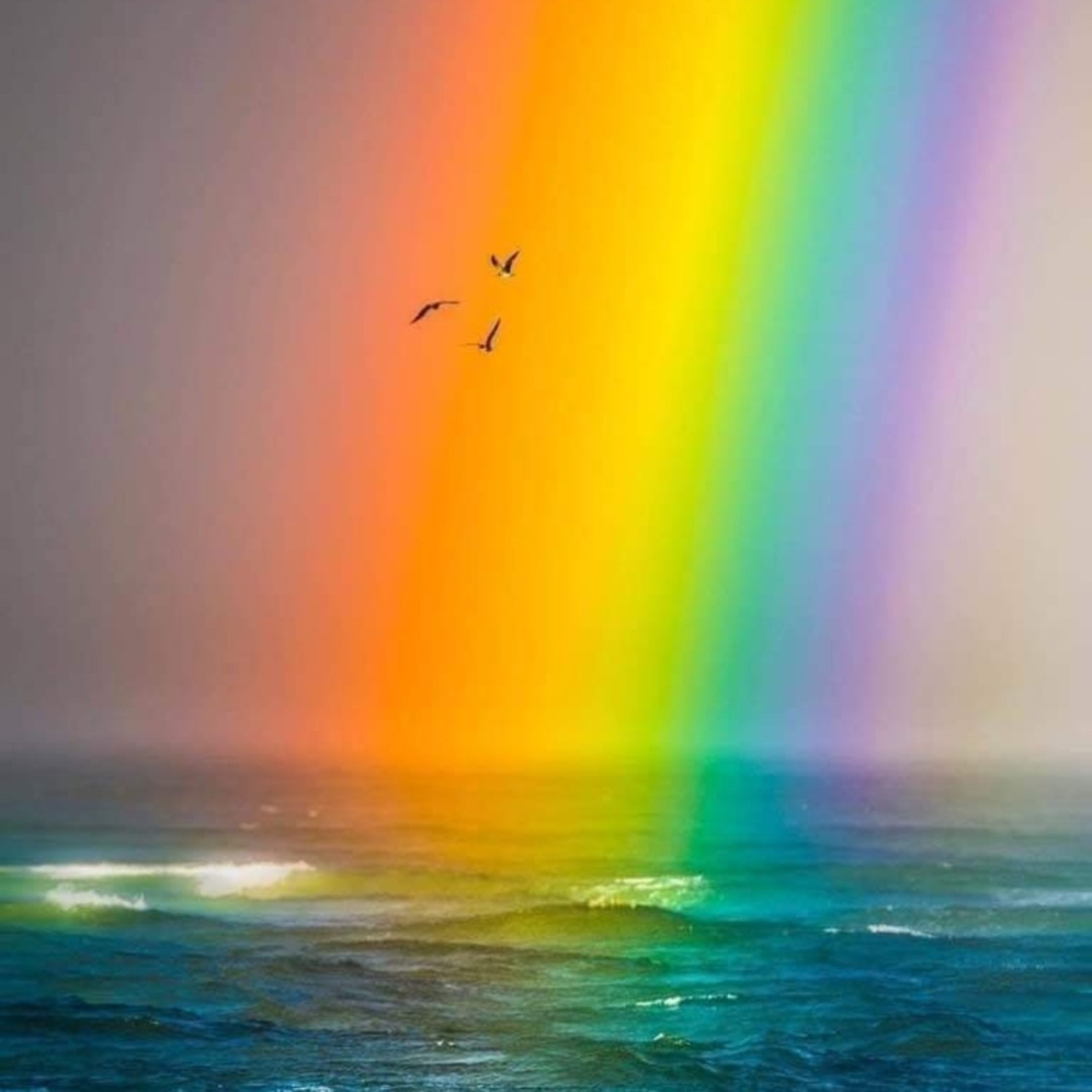 The FeelingPath ILLUMINATED☀️