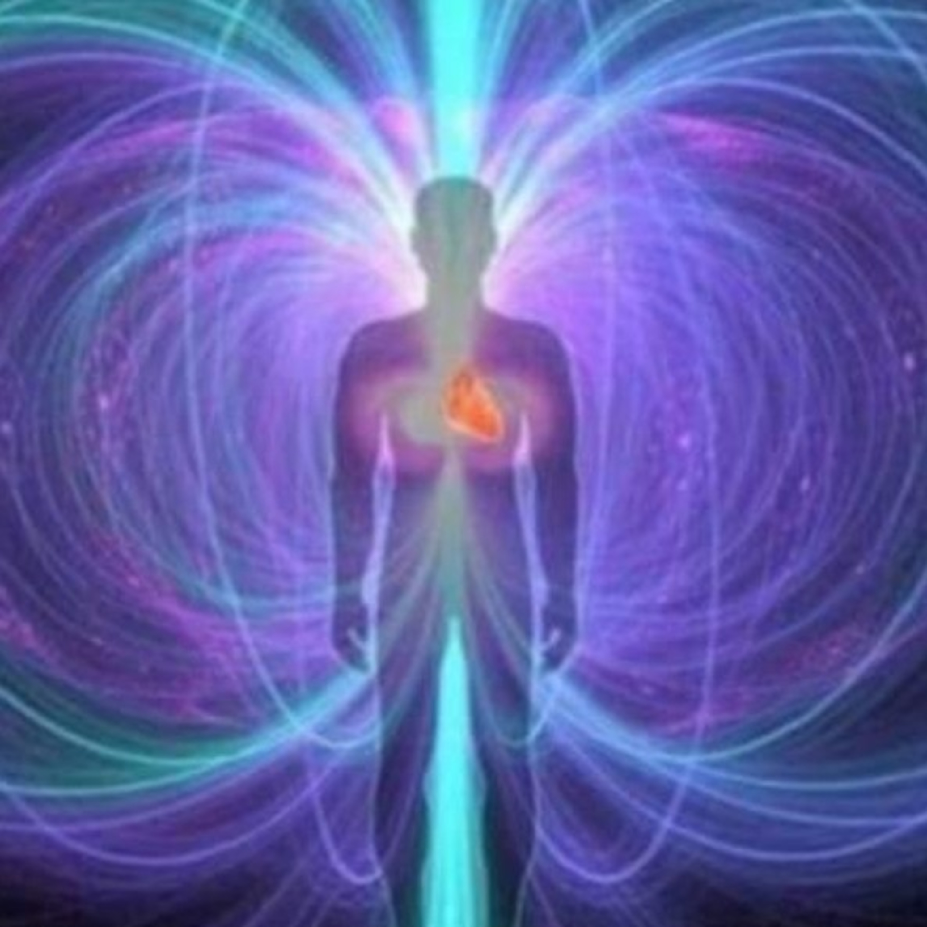 The FeelingPath ILLUMINATED☀️