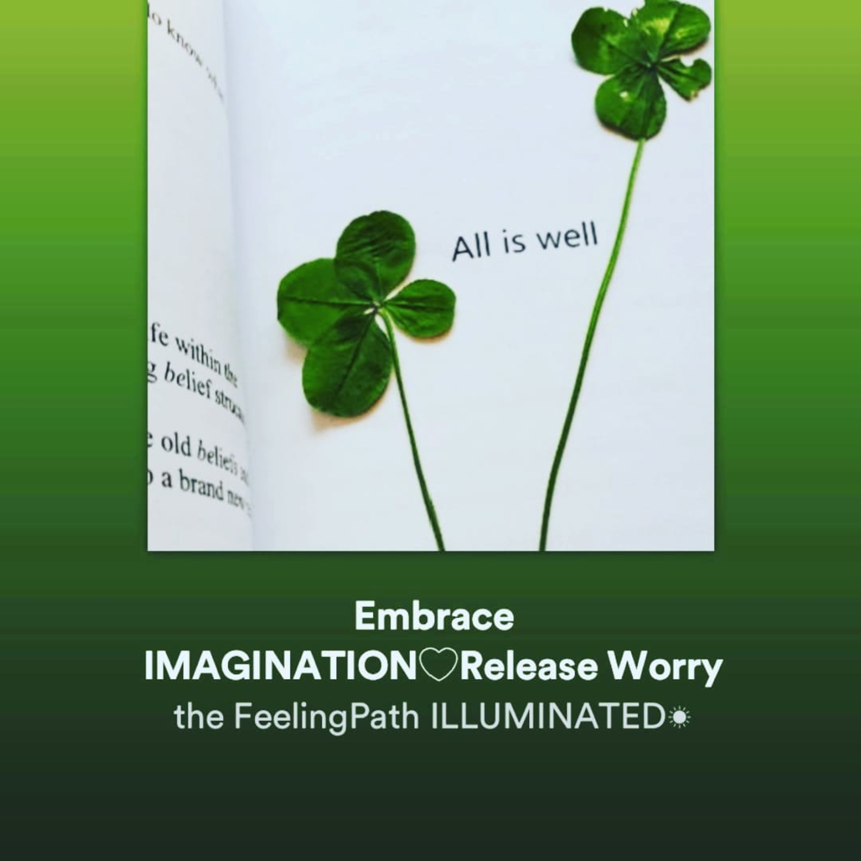 The FeelingPath ILLUMINATED☀️