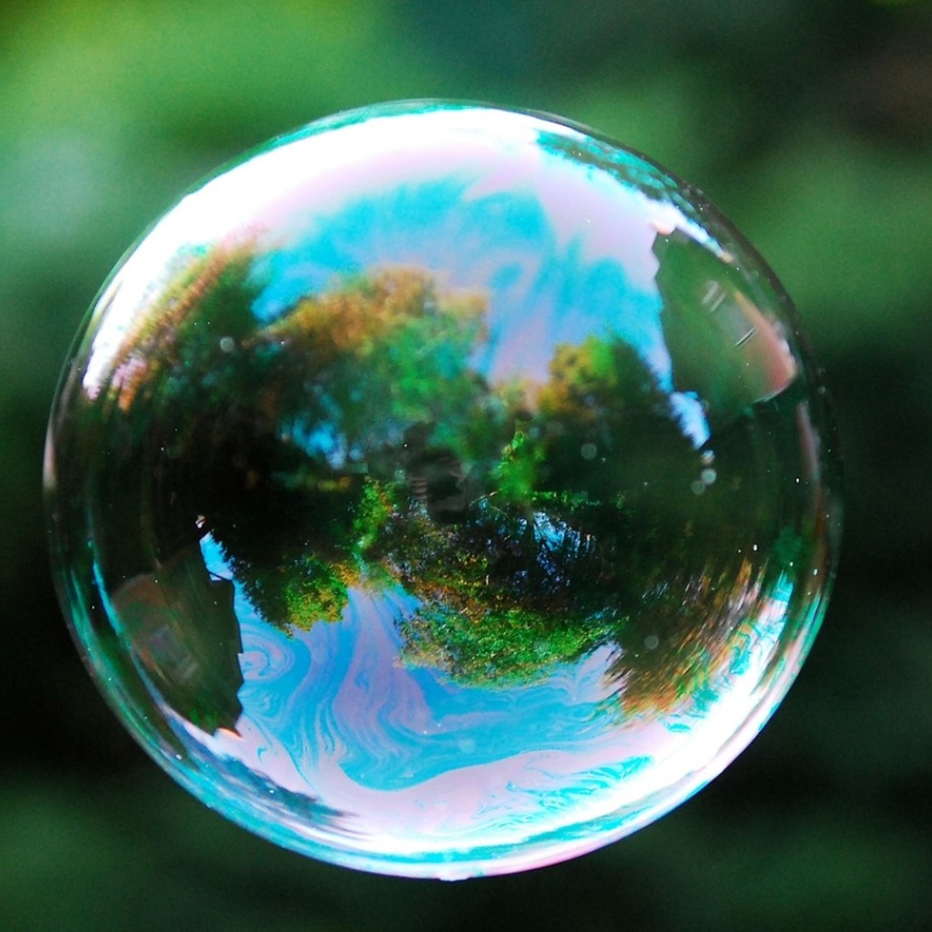 The FeelingPath ILLUMINATED☀️