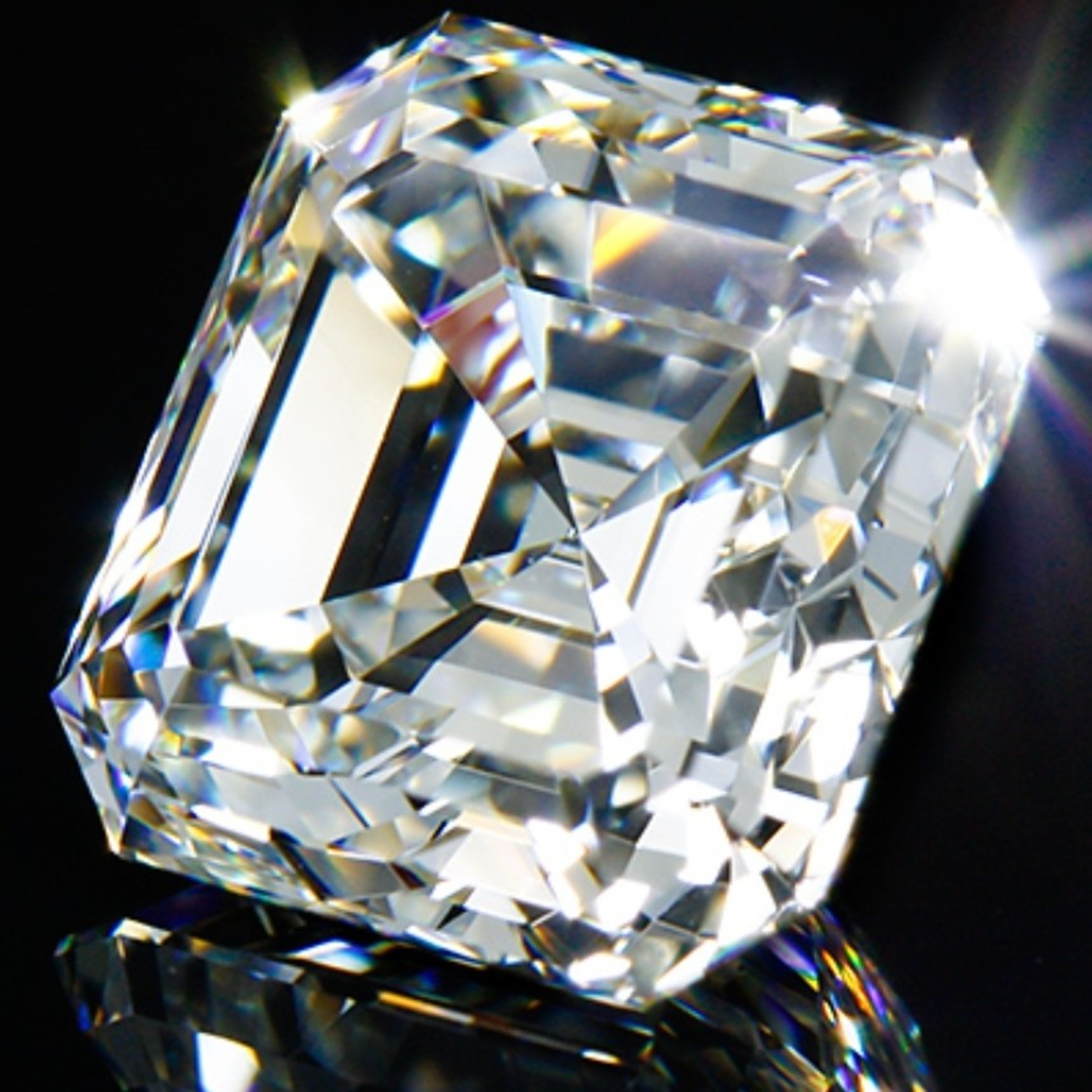 The FeelingPath ILLUMINATED☀️