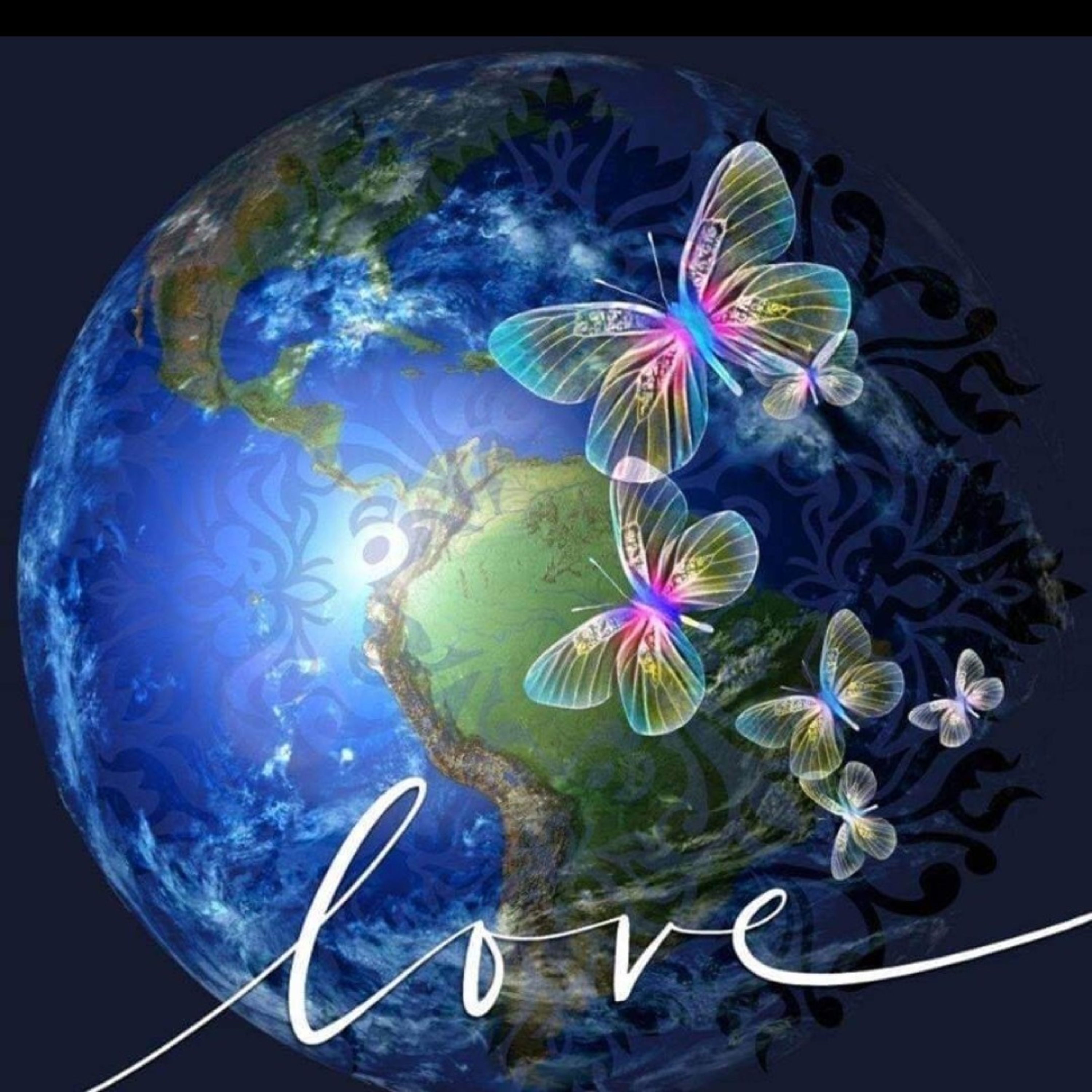 The FeelingPath ILLUMINATED☀️