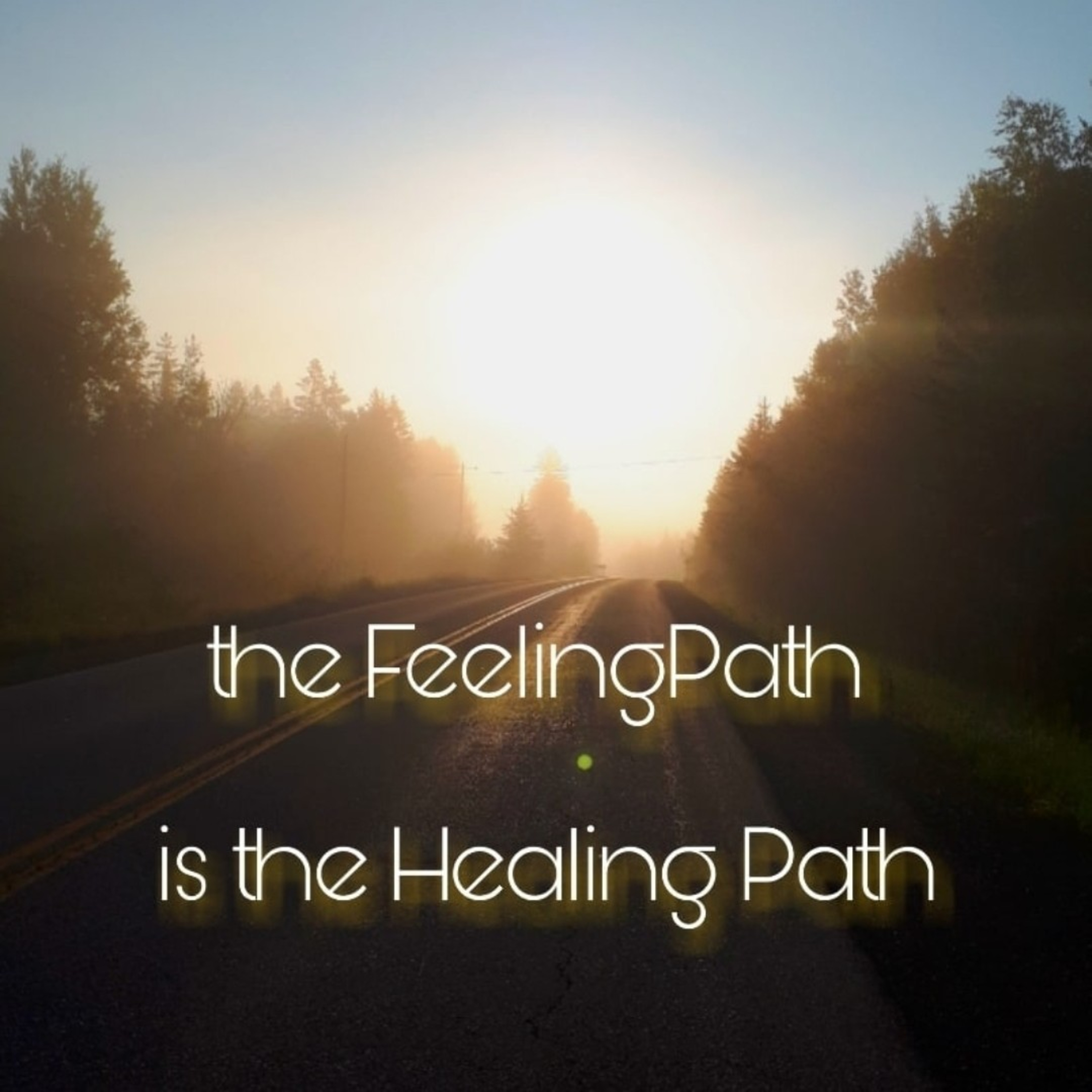 The FeelingPath ILLUMINATED☀️