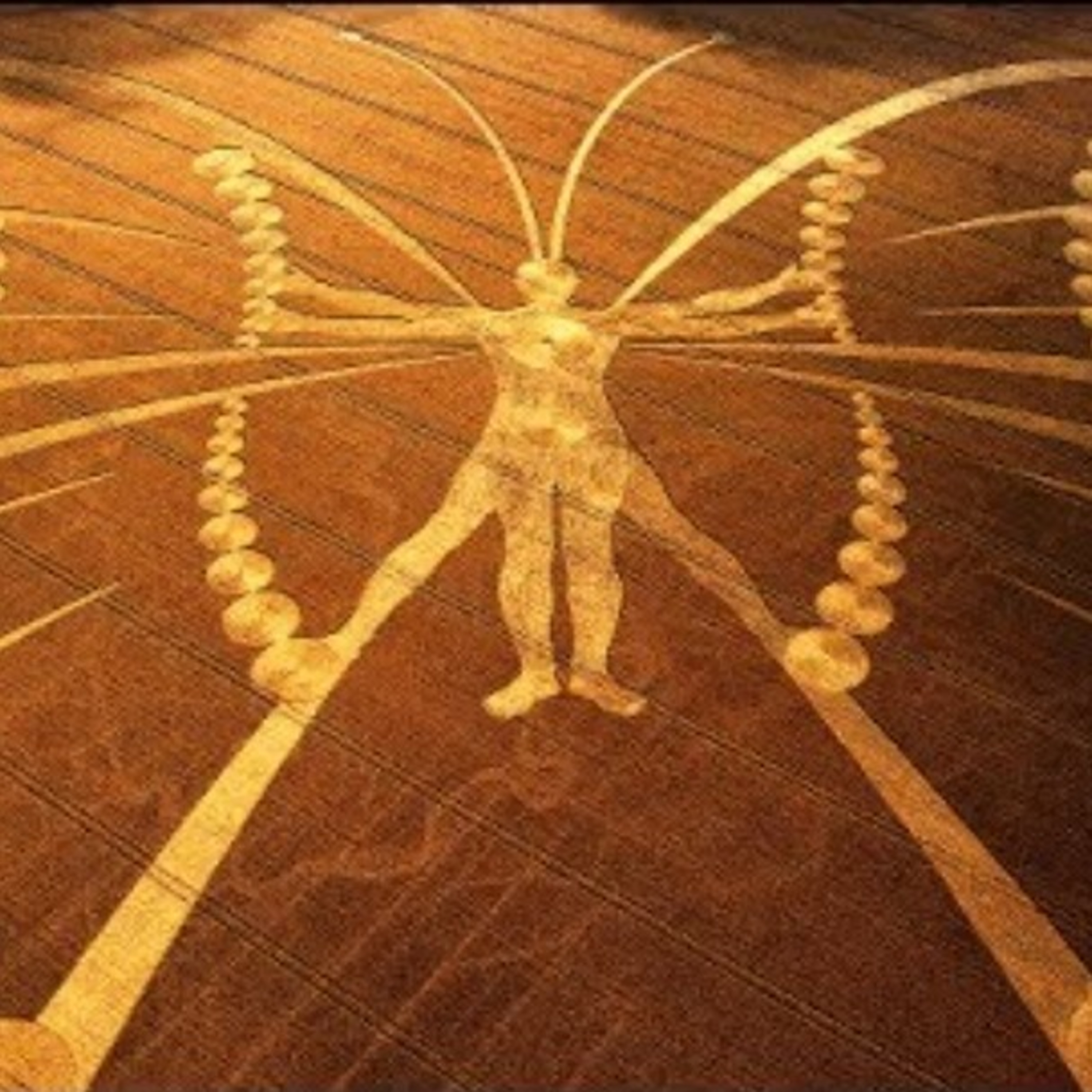 The FeelingPath ILLUMINATED☀️