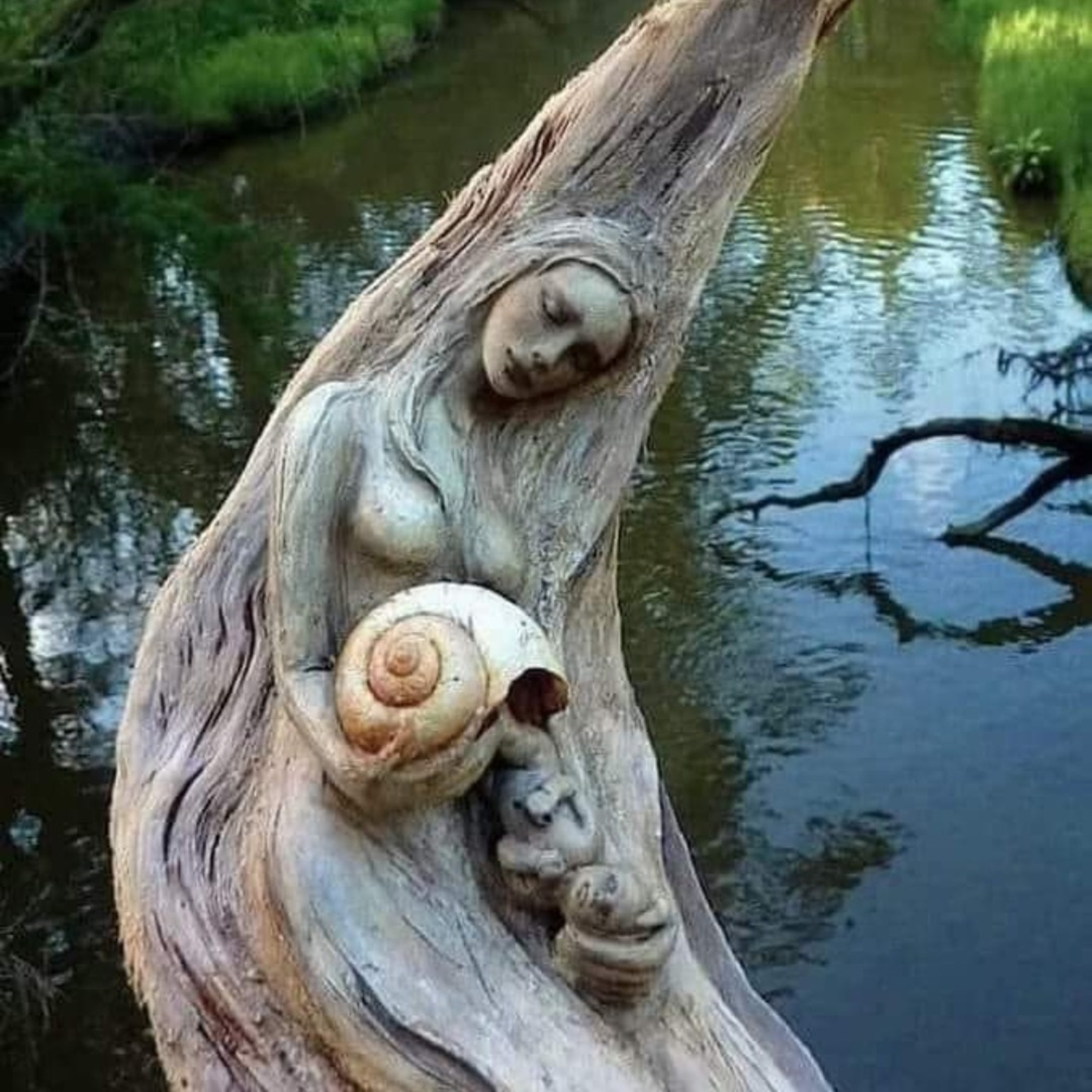 The FeelingPath ILLUMINATED☀️