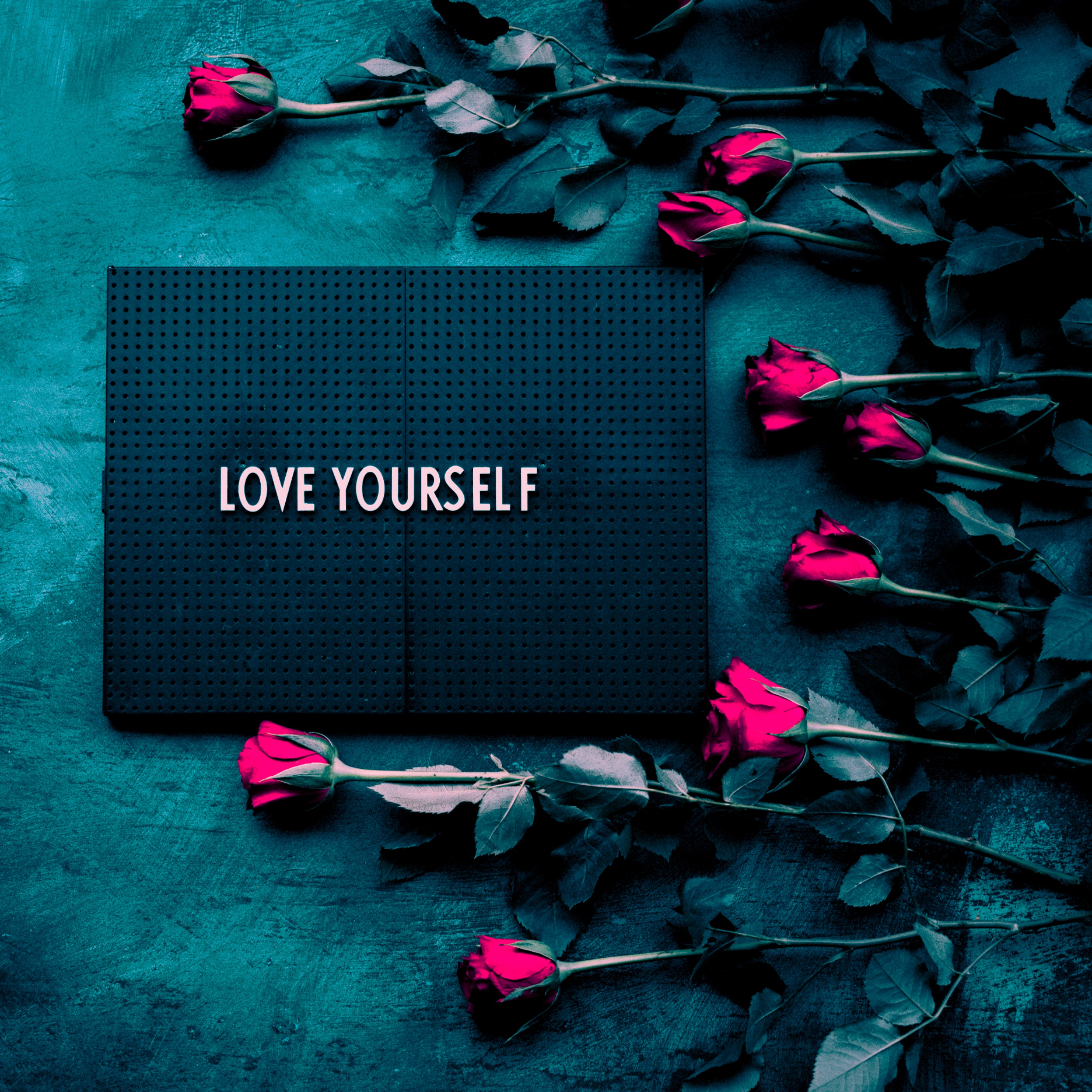 The FeelingPath ILLUMINATED☀️