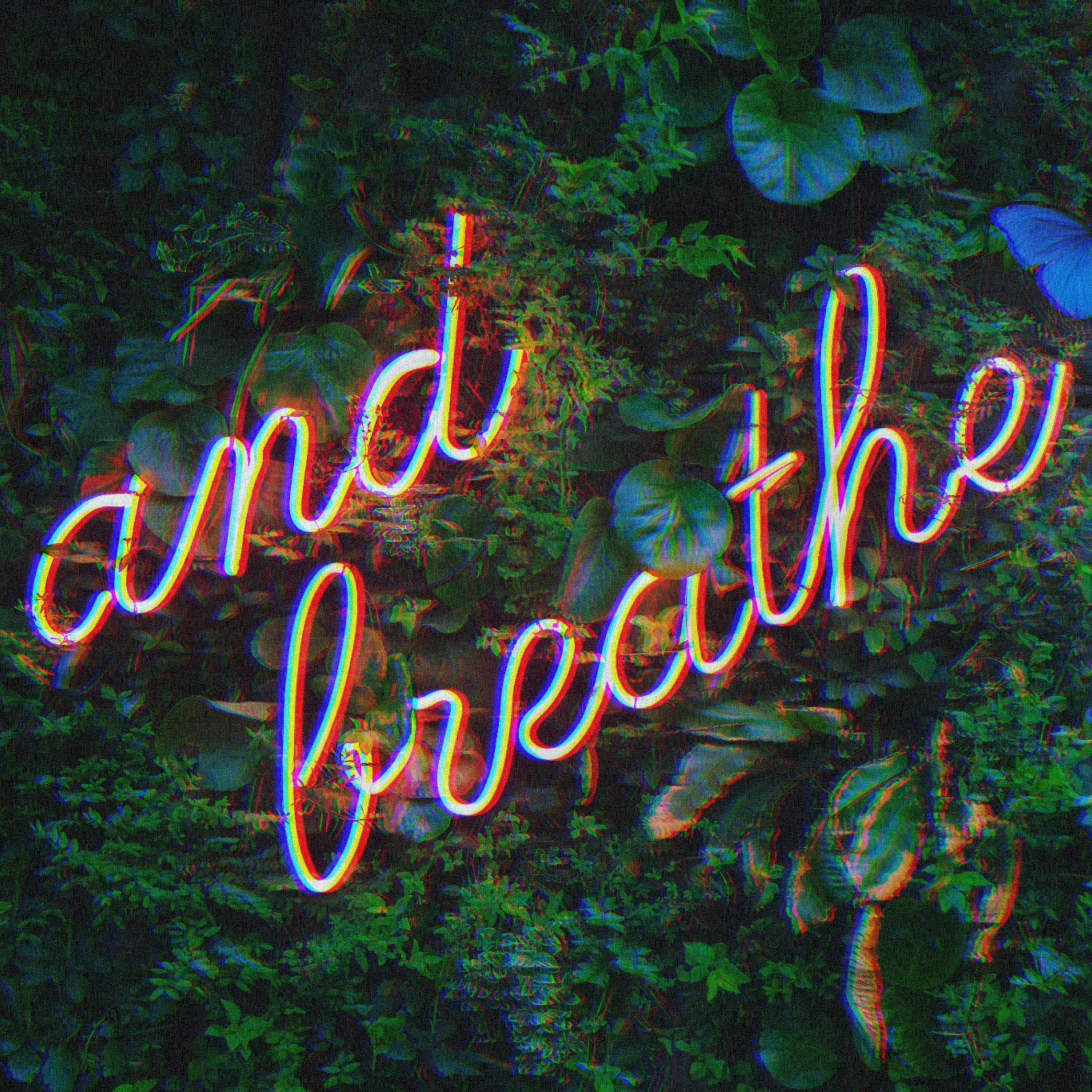 The FeelingPath ILLUMINATED☀️