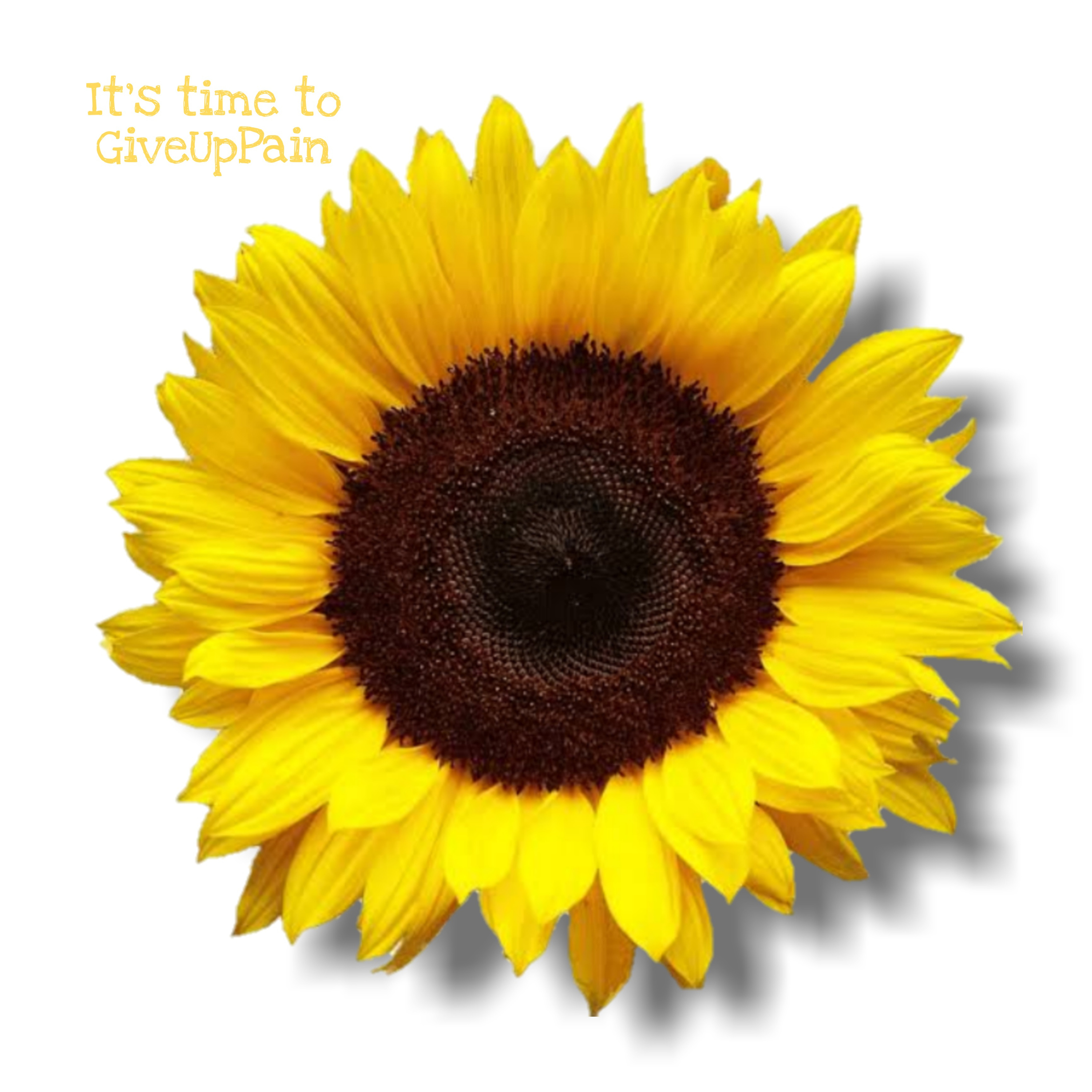A Special EXERCISE For You🌻 episode artwork
