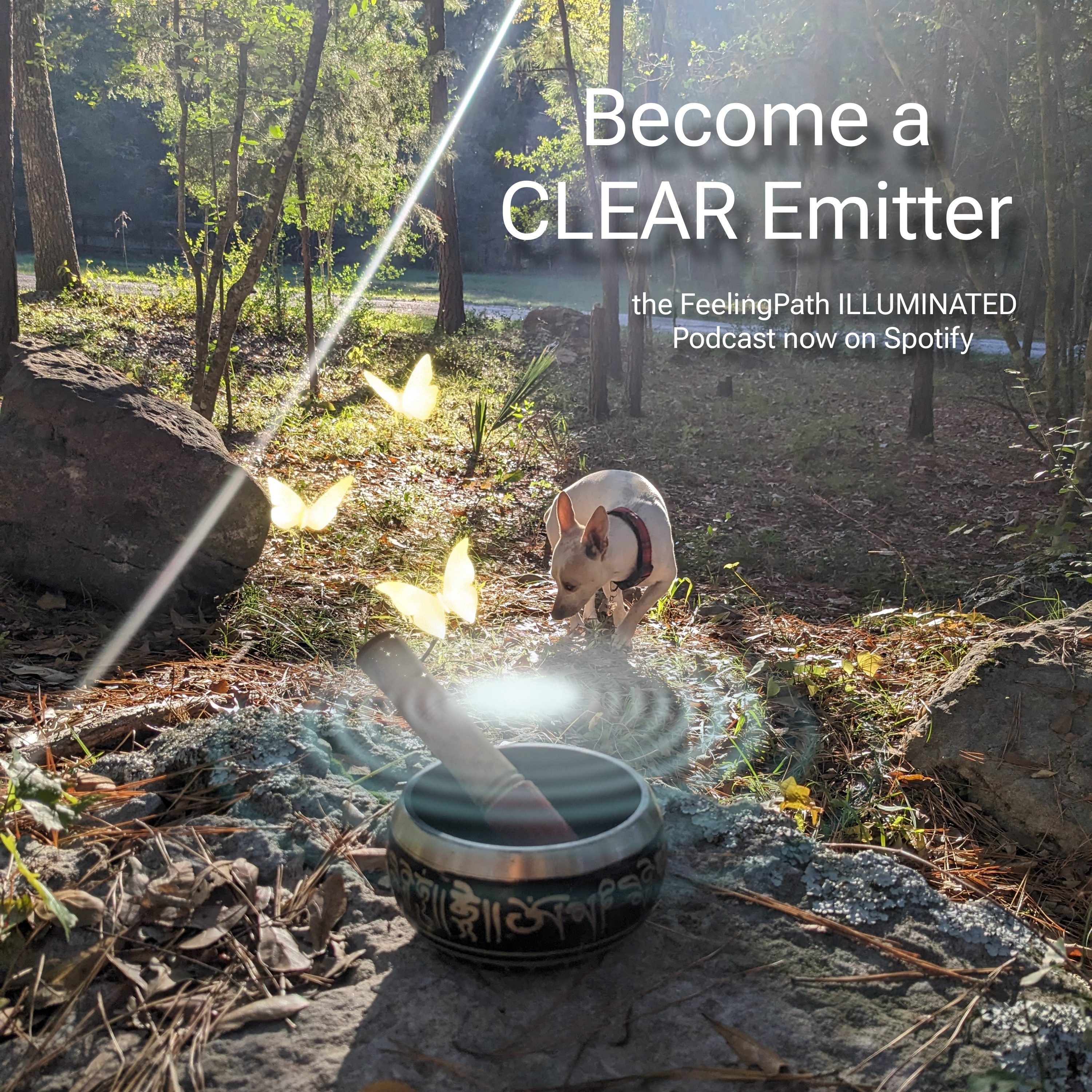 Becoming a CLEAR Emitter🌈 episode artwork