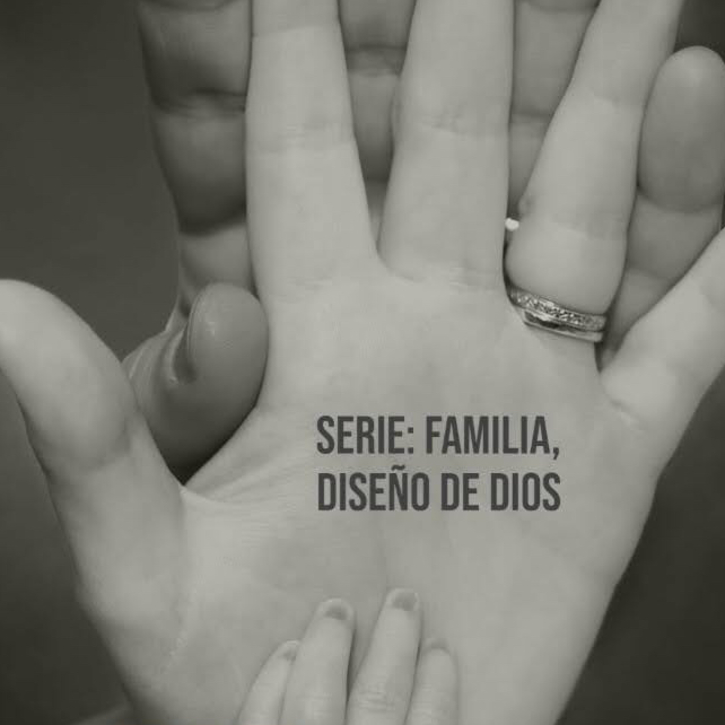 Serie Familia, Diseño de Dios