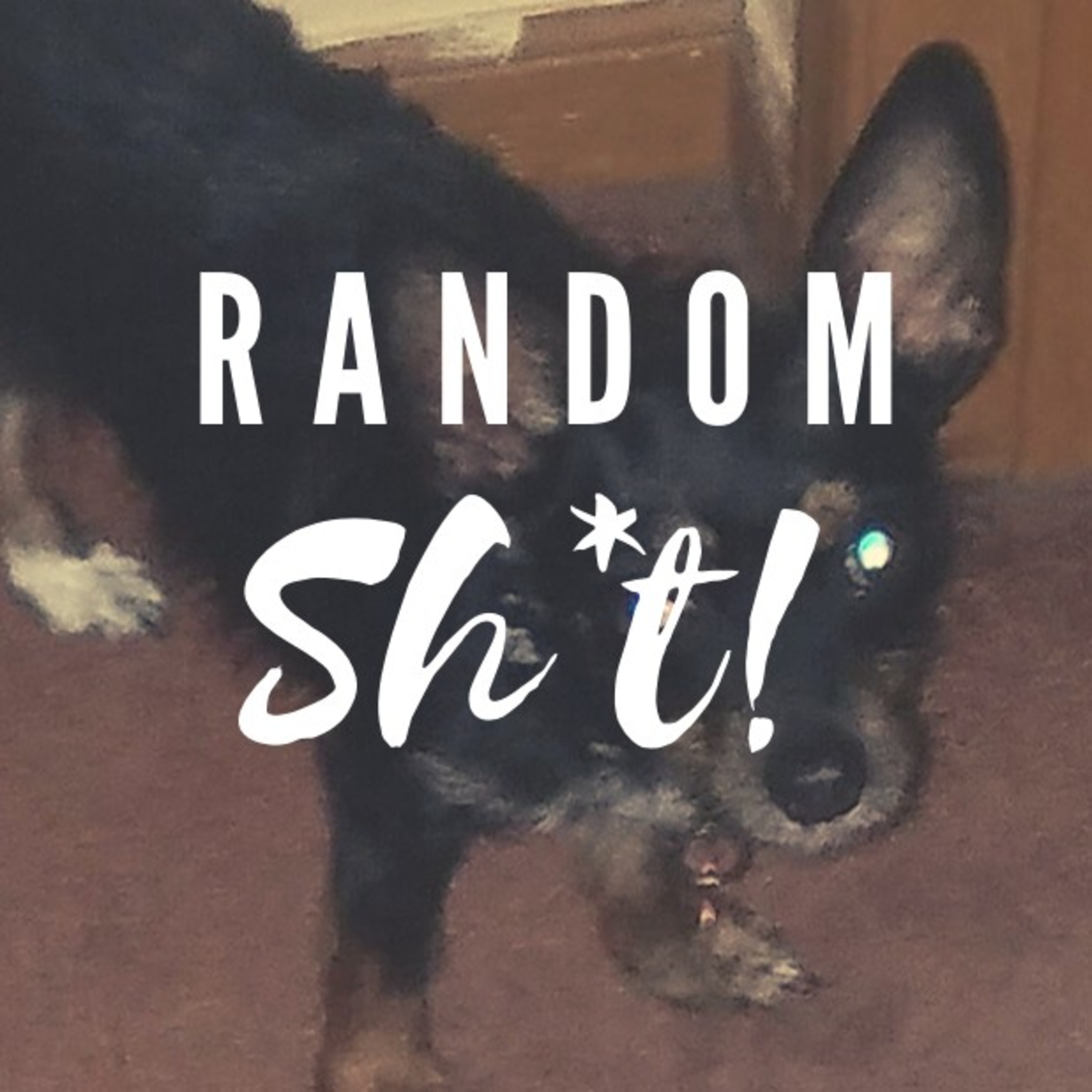 TikTok With Ely Bell | Random Sh*t! episode artwork