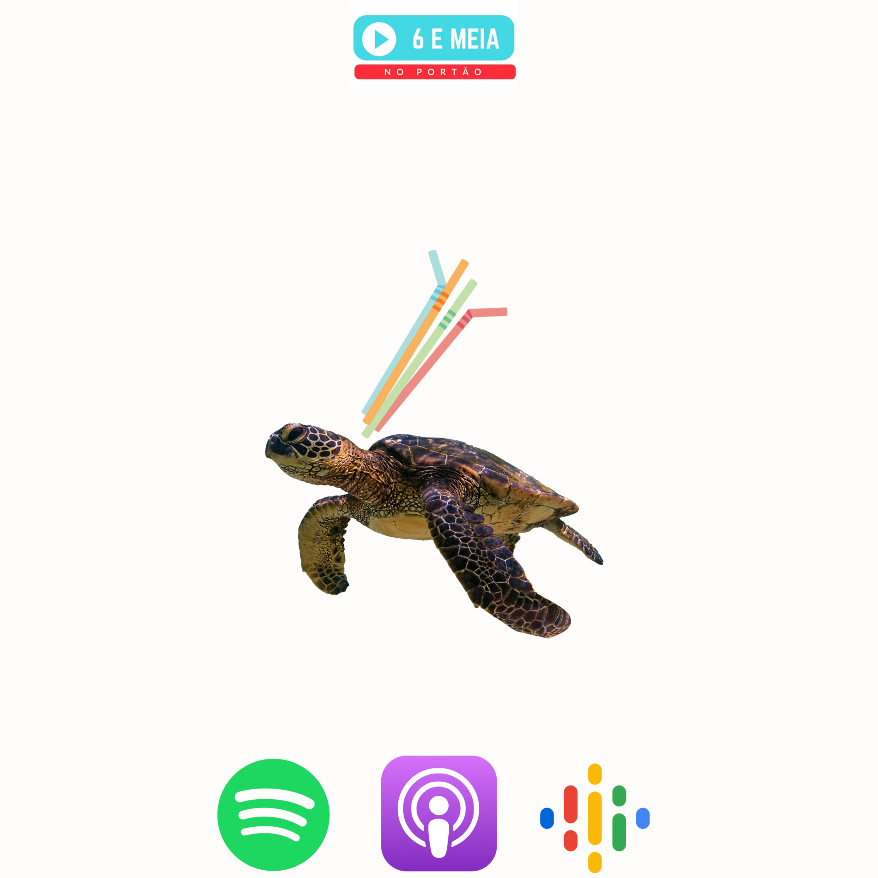 Ep.271 - Salvem as tartarugas  episode artwork