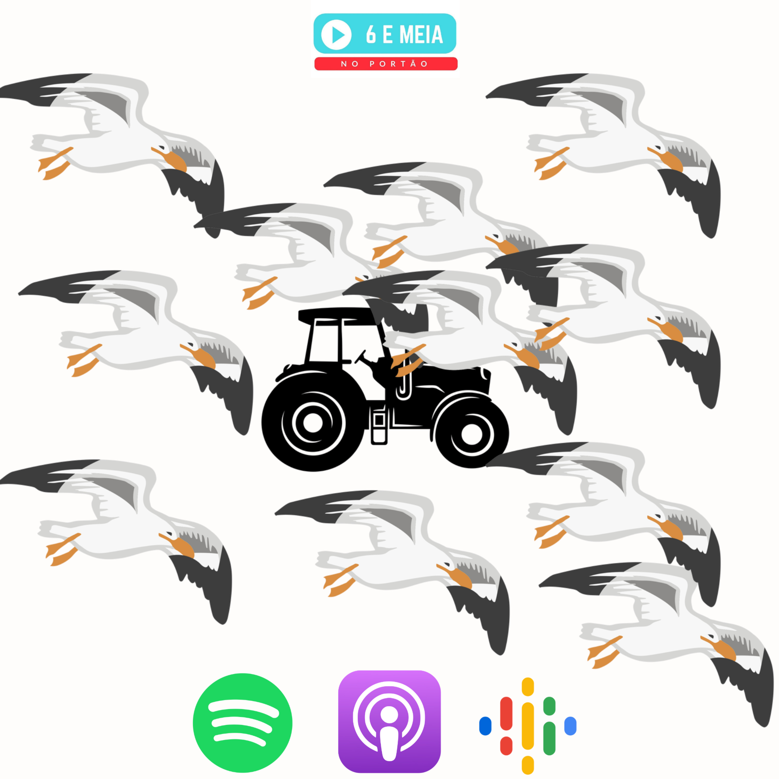 Ep.318 - Centenas e centenas de Gaivotas episode artwork