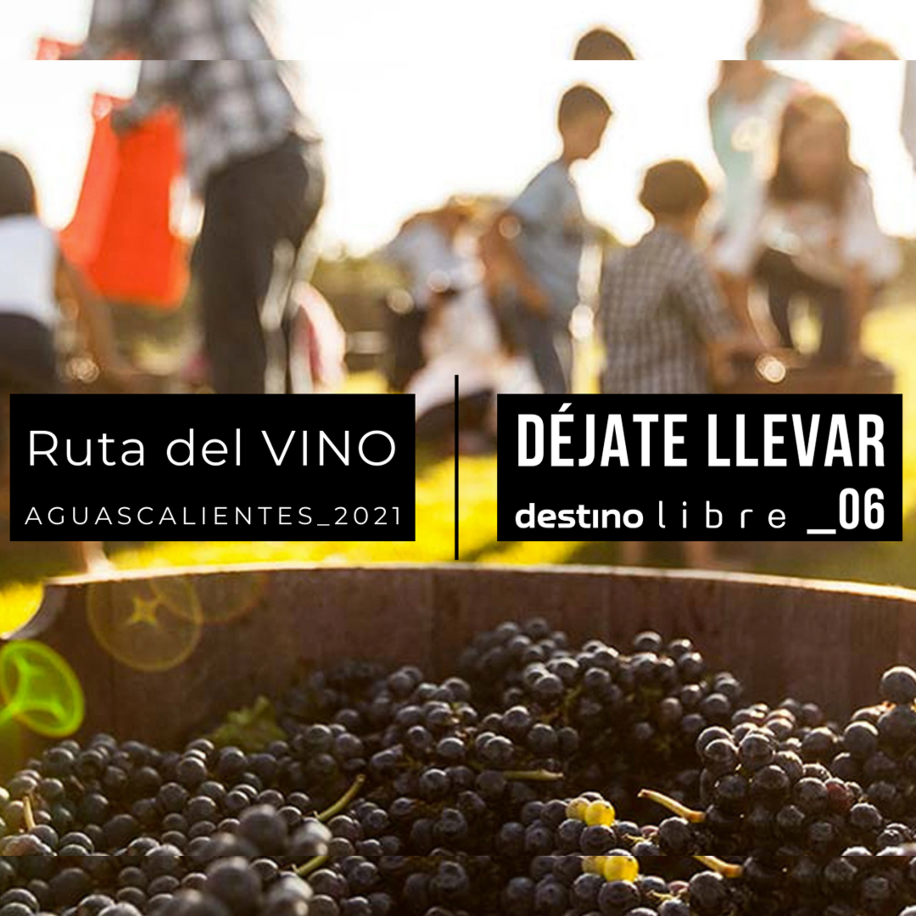 EP_06_Aguascalientes recorre con nosotros la ruta del vino de este estado del centro del país. episode artwork