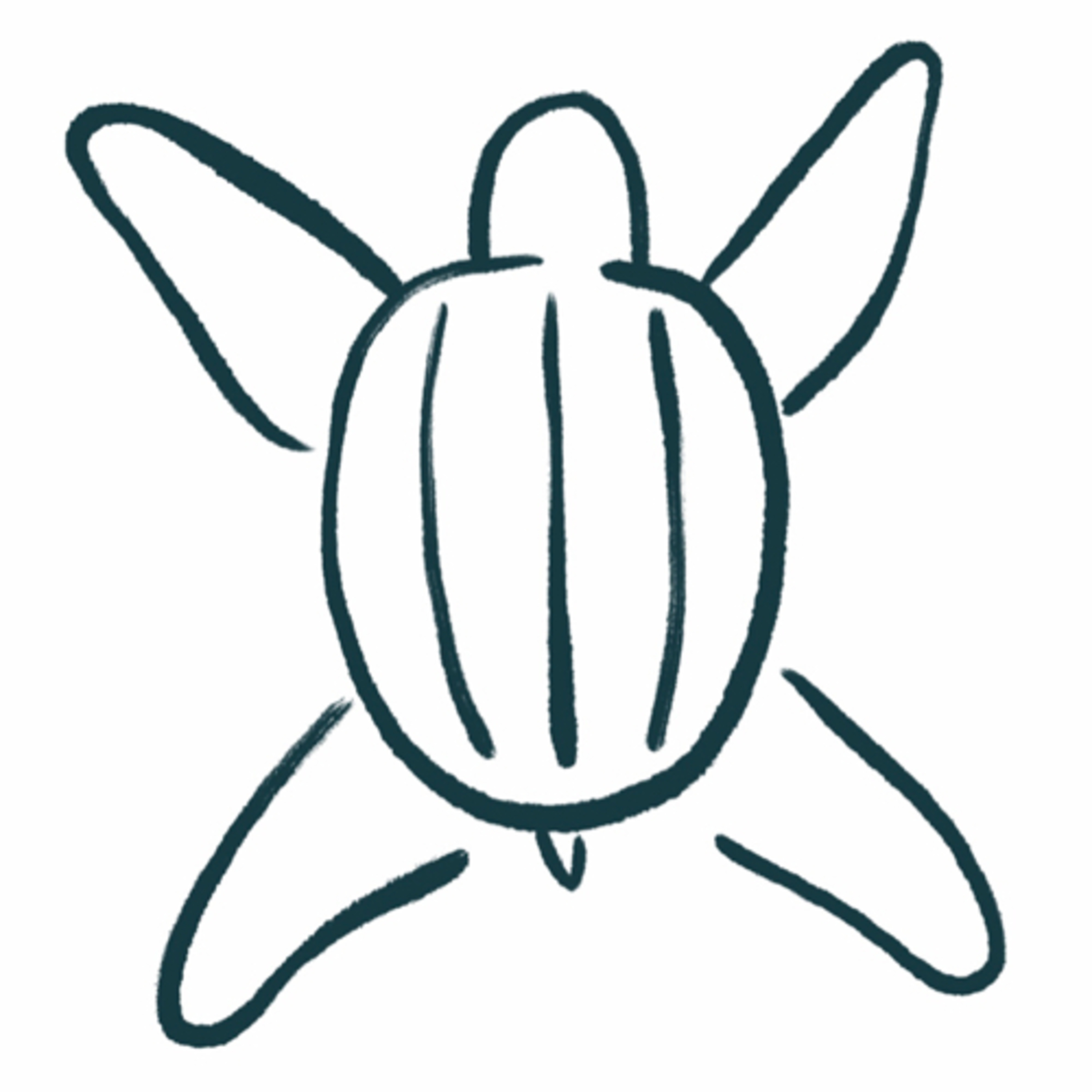 Leatherback Sea Turtles Leatherback Sea Turtles