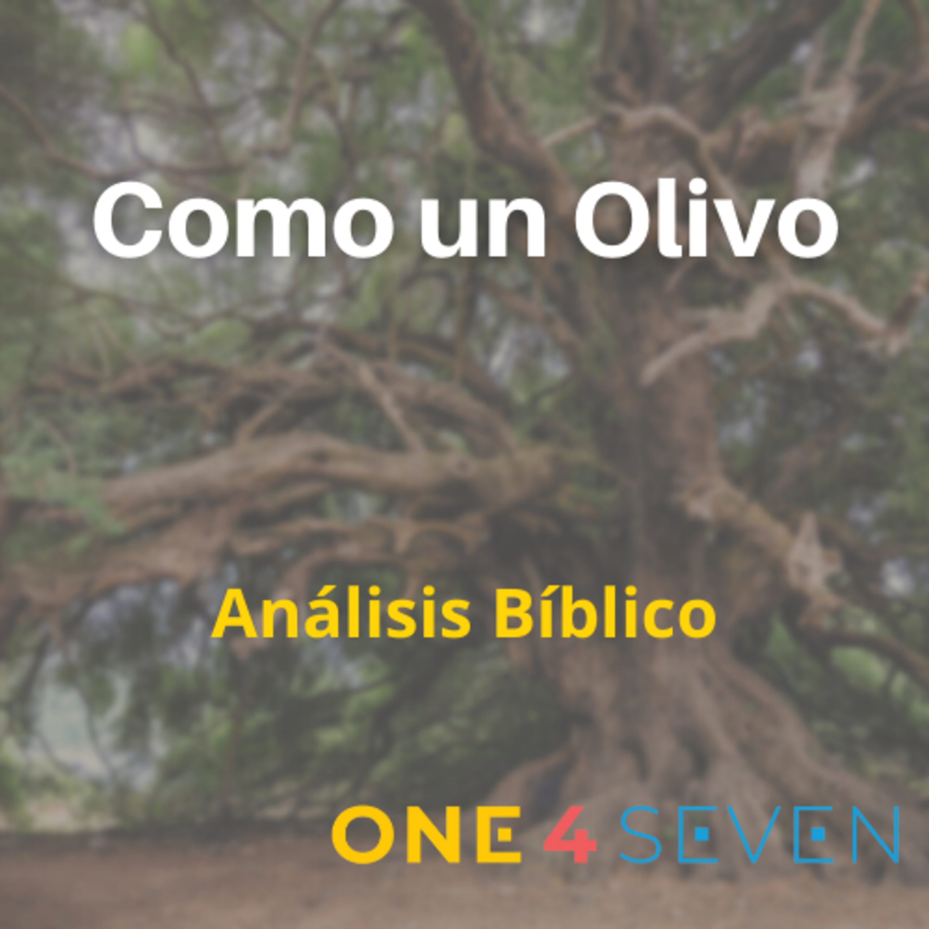 One4Seven Ministry
