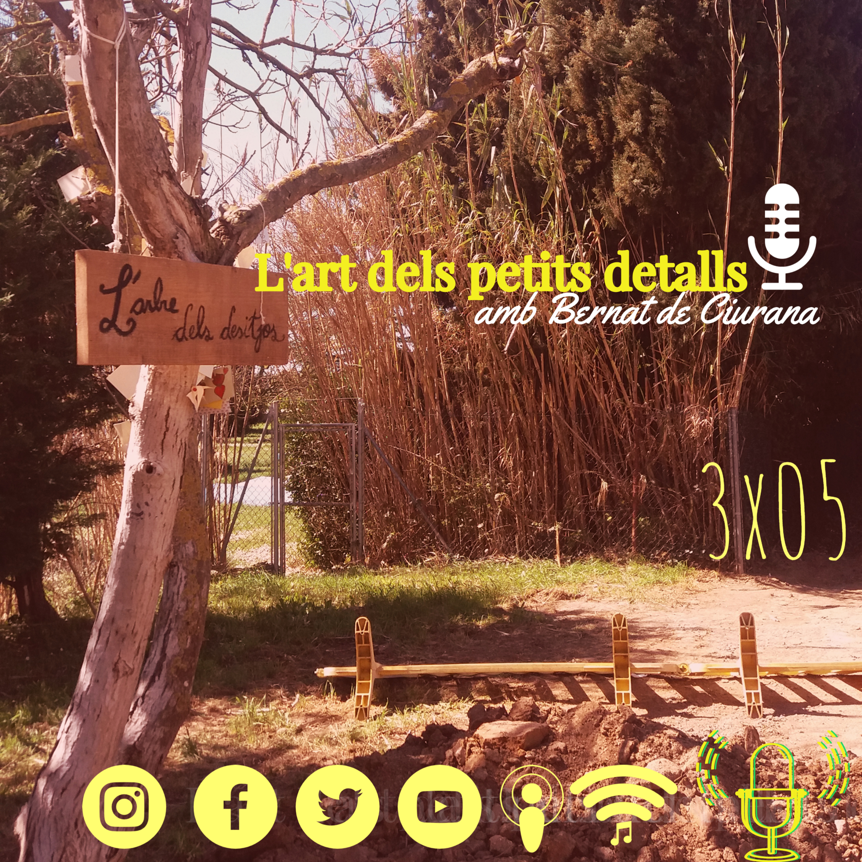 L\'art dels petits detalls