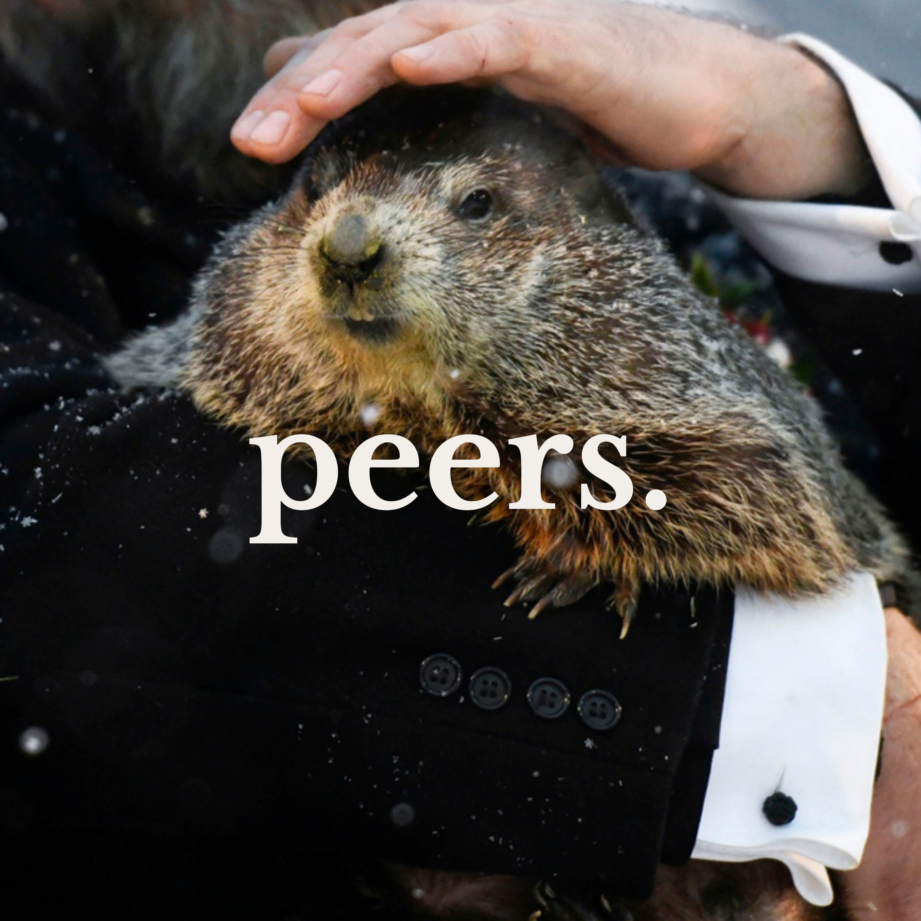 JAIL STORIES & PUNXSUTAWNEY PHIL episode artwork