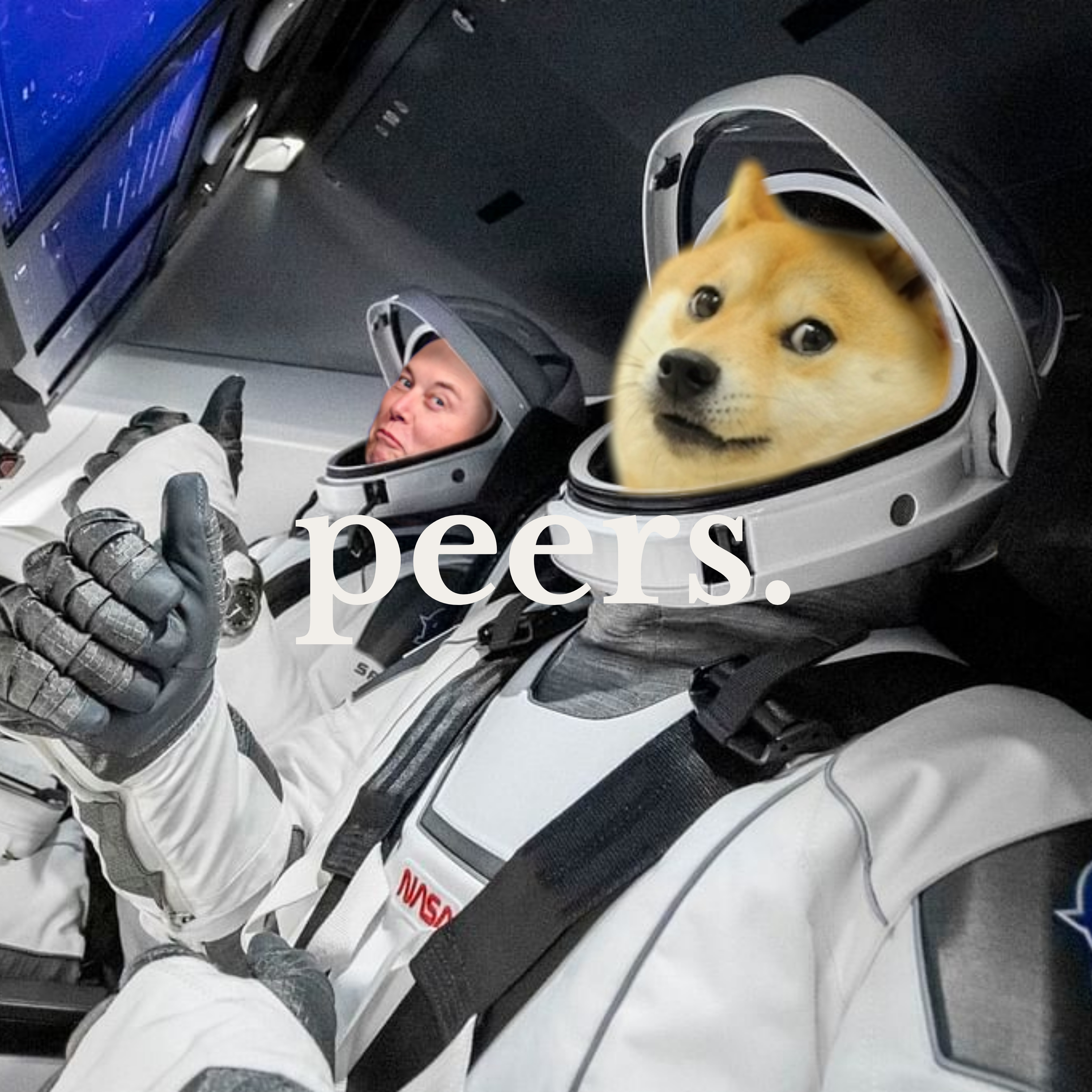DOGE IS DEAD episode artwork