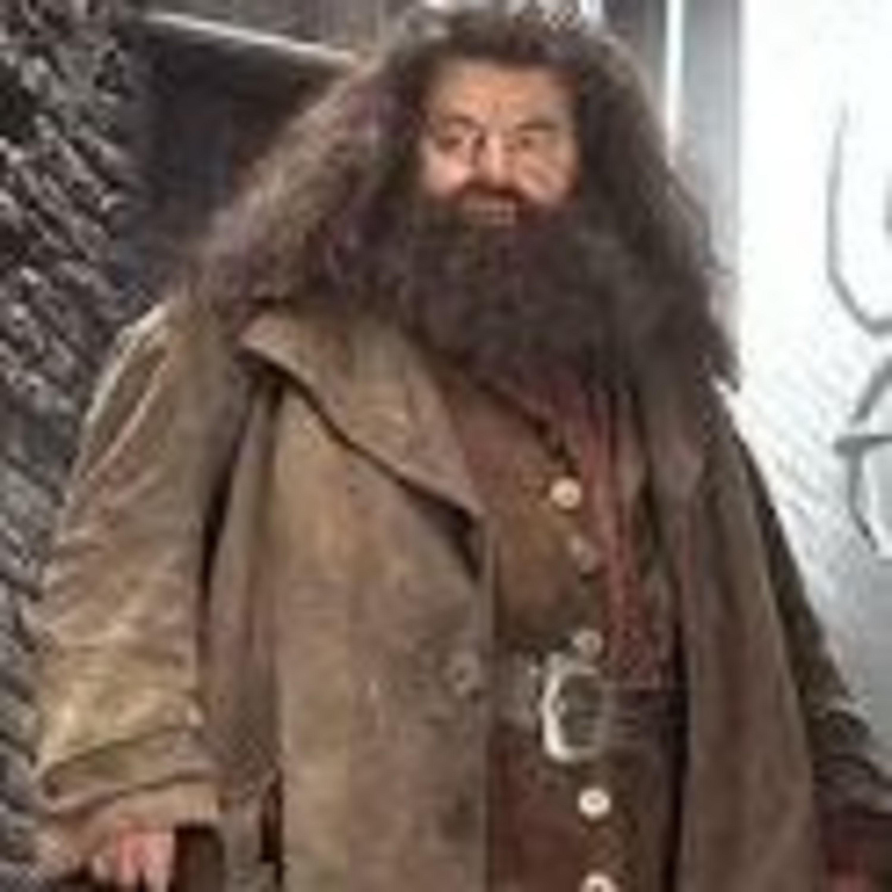 Hagrid - nieogarnięta pozytwyna postać czy sprytny czarny charakter? Część 1 episode artwork