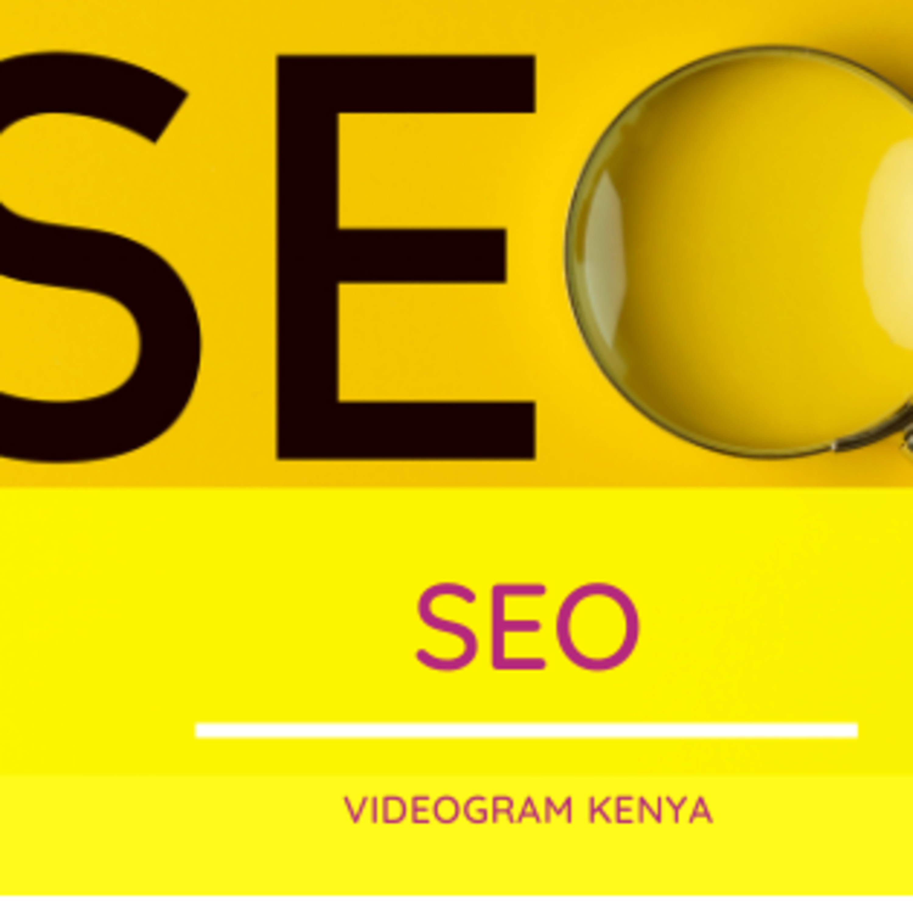 What is SEO and why is it important?