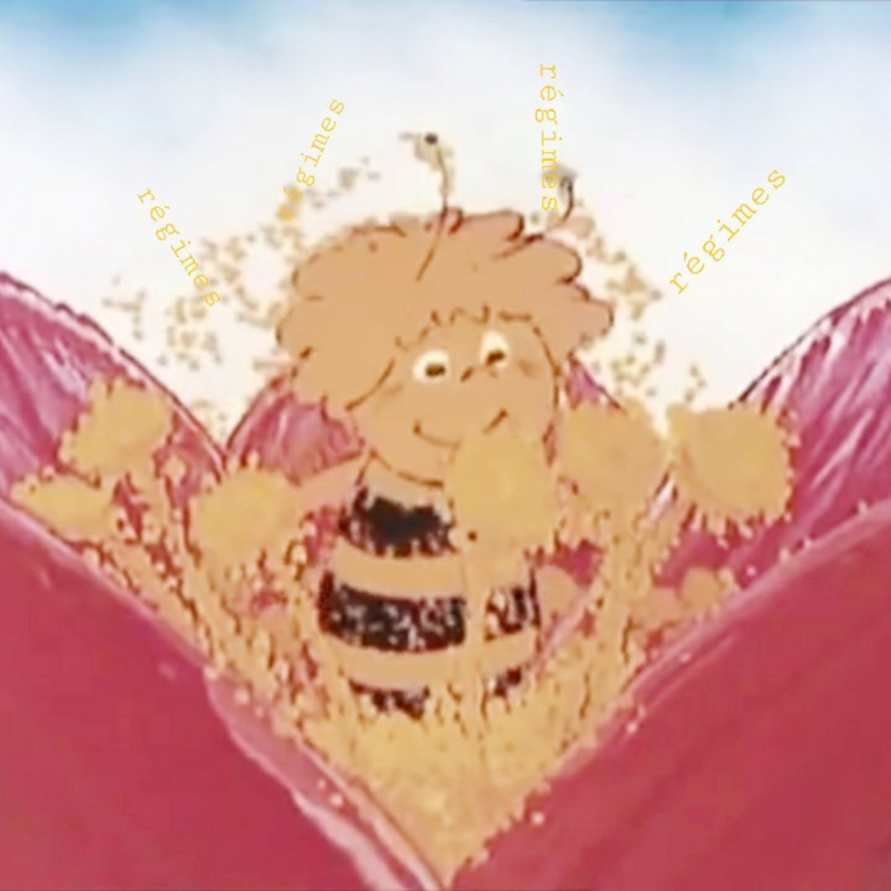 #16 AI - principe 1 : rejeter la mentalité des régimes