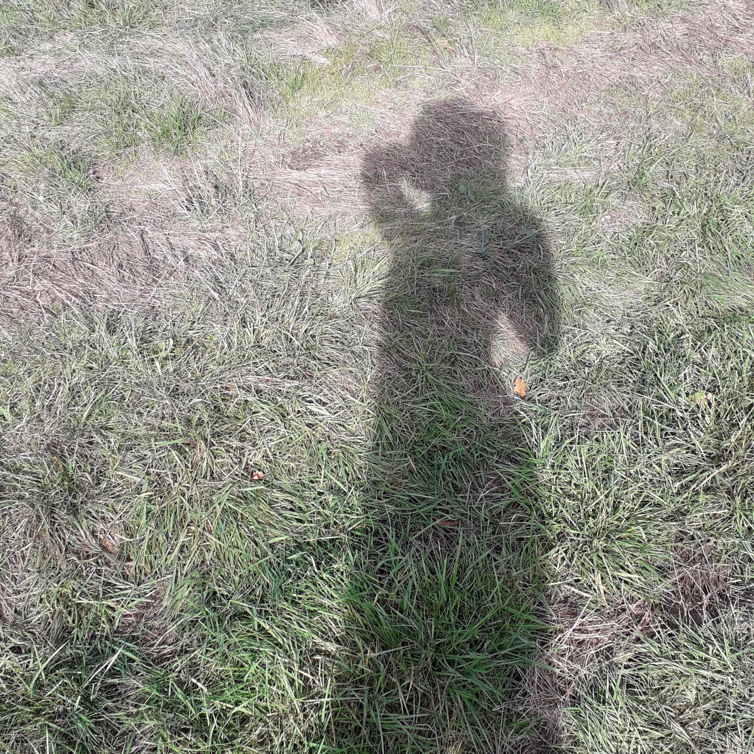 #21 AI - principe 6 : découvrir la satisfaction 