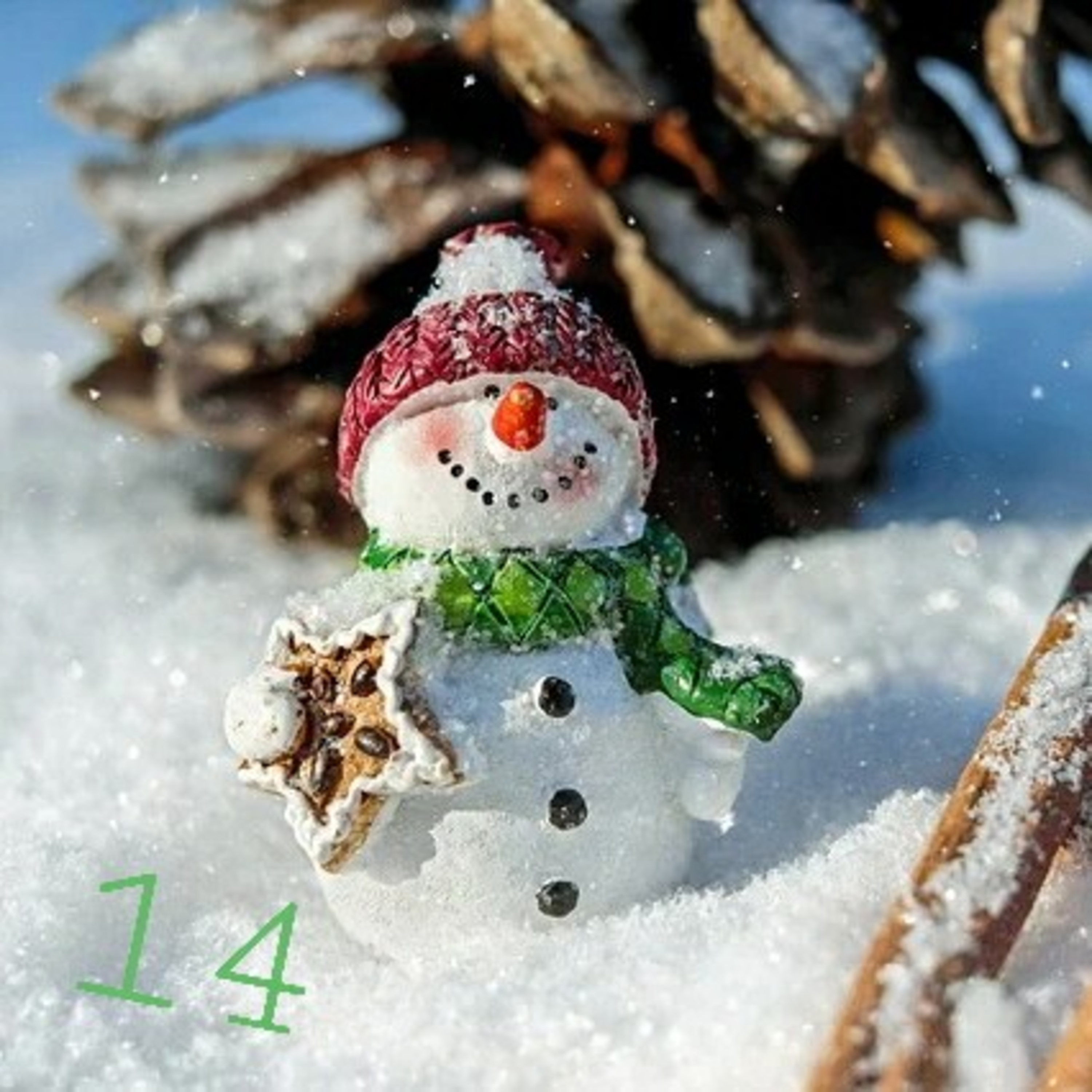 Case 14 : transformer ses voix de régime