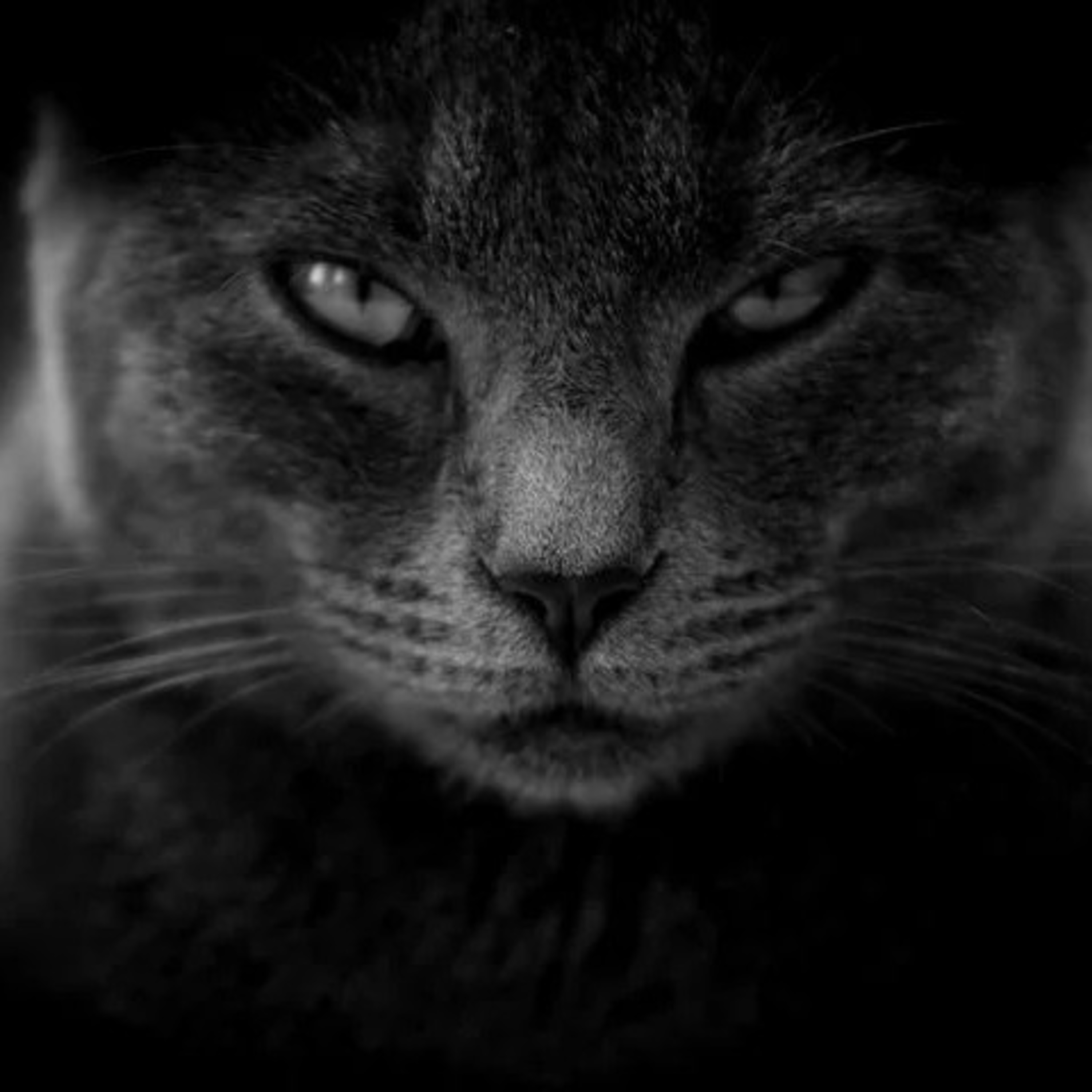 #69 Je suis tout le temps en colère...