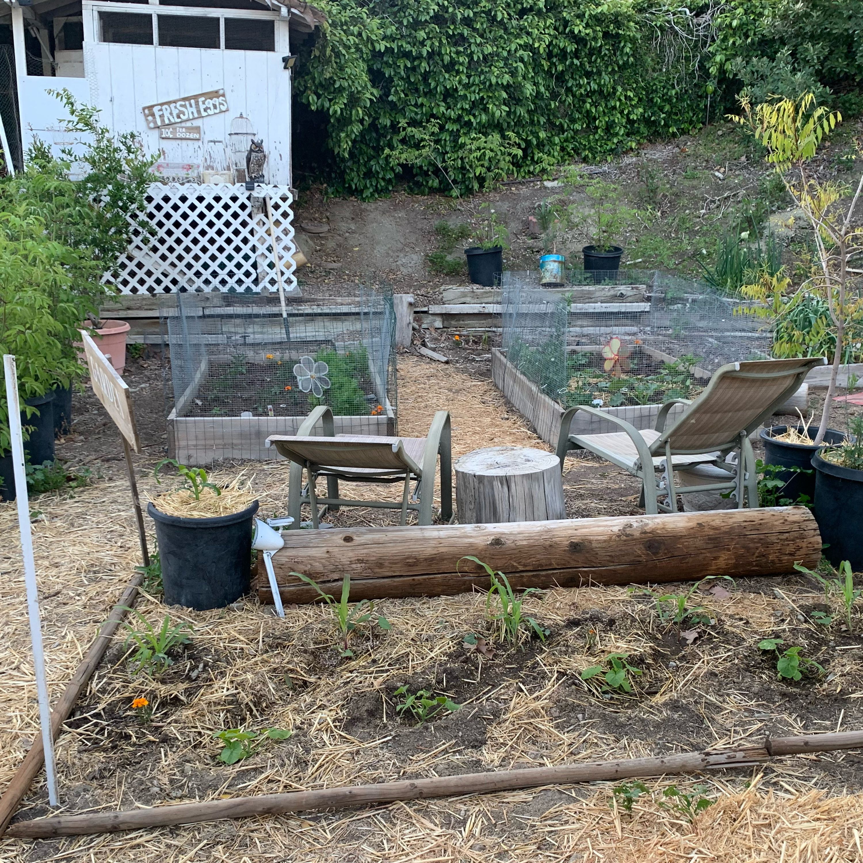 PathfindersManScouts.com