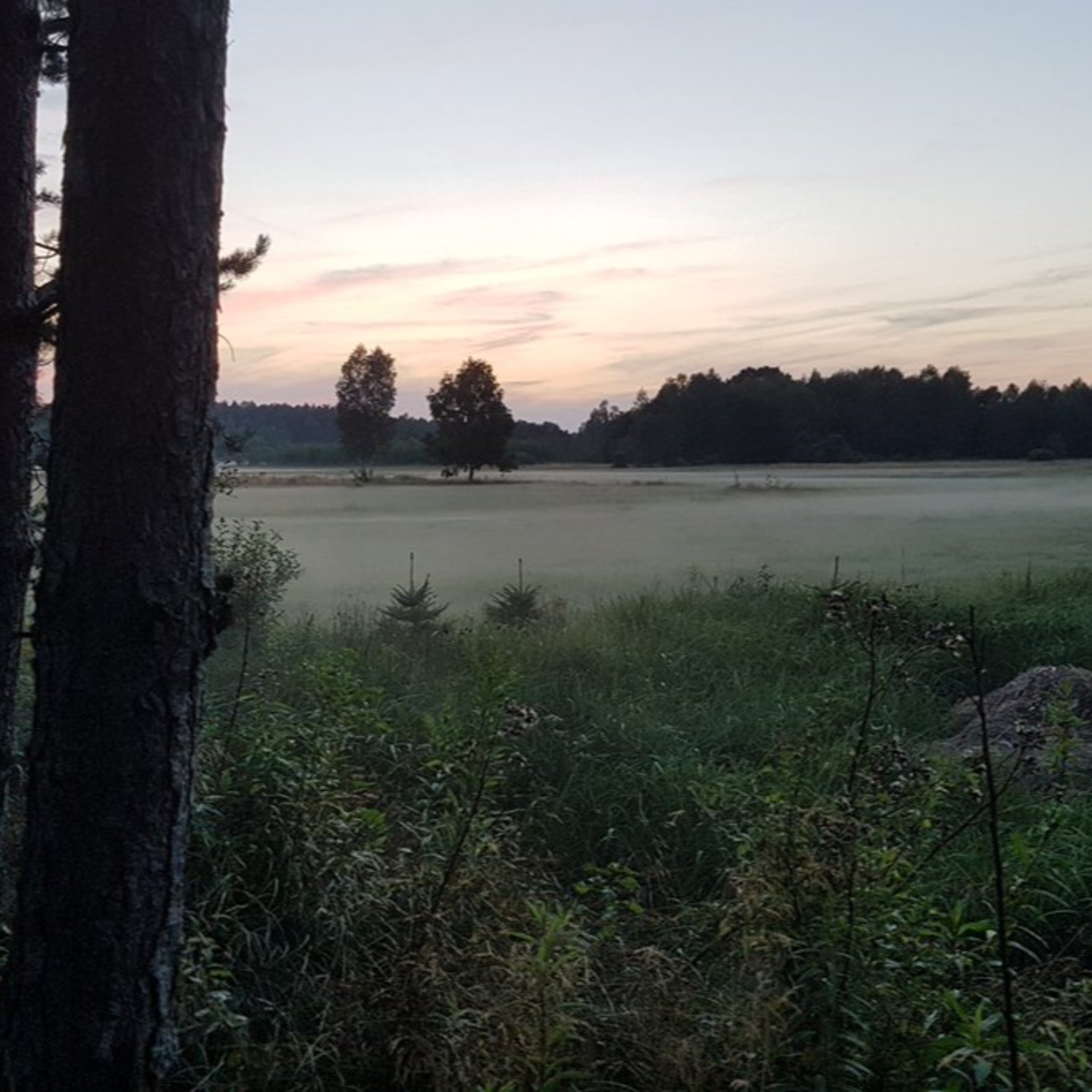 fotowiersze