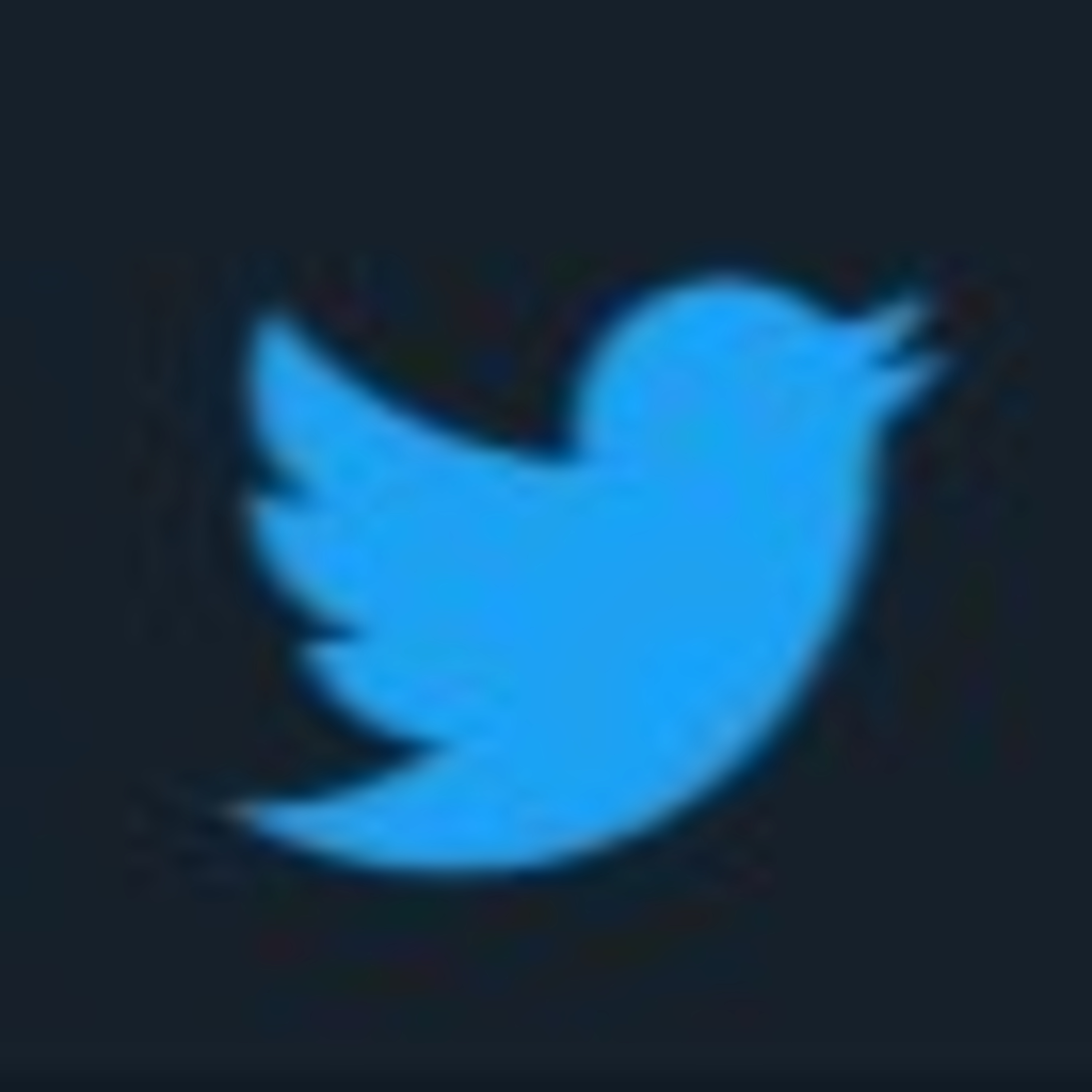 The Co-Zone