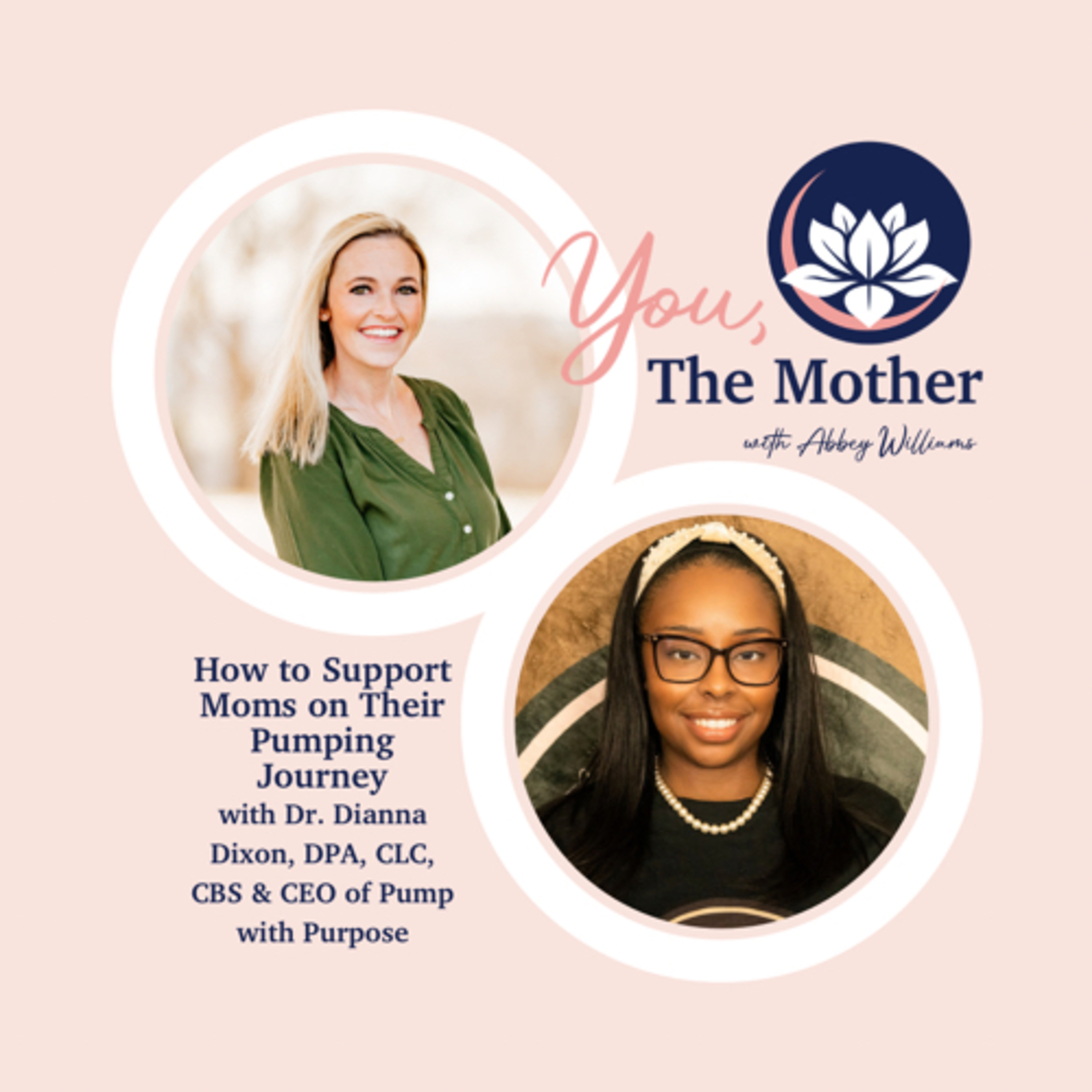 How to Support Moms on Their Pumping Journey With Dr. Dianna Dixon episode artwork
