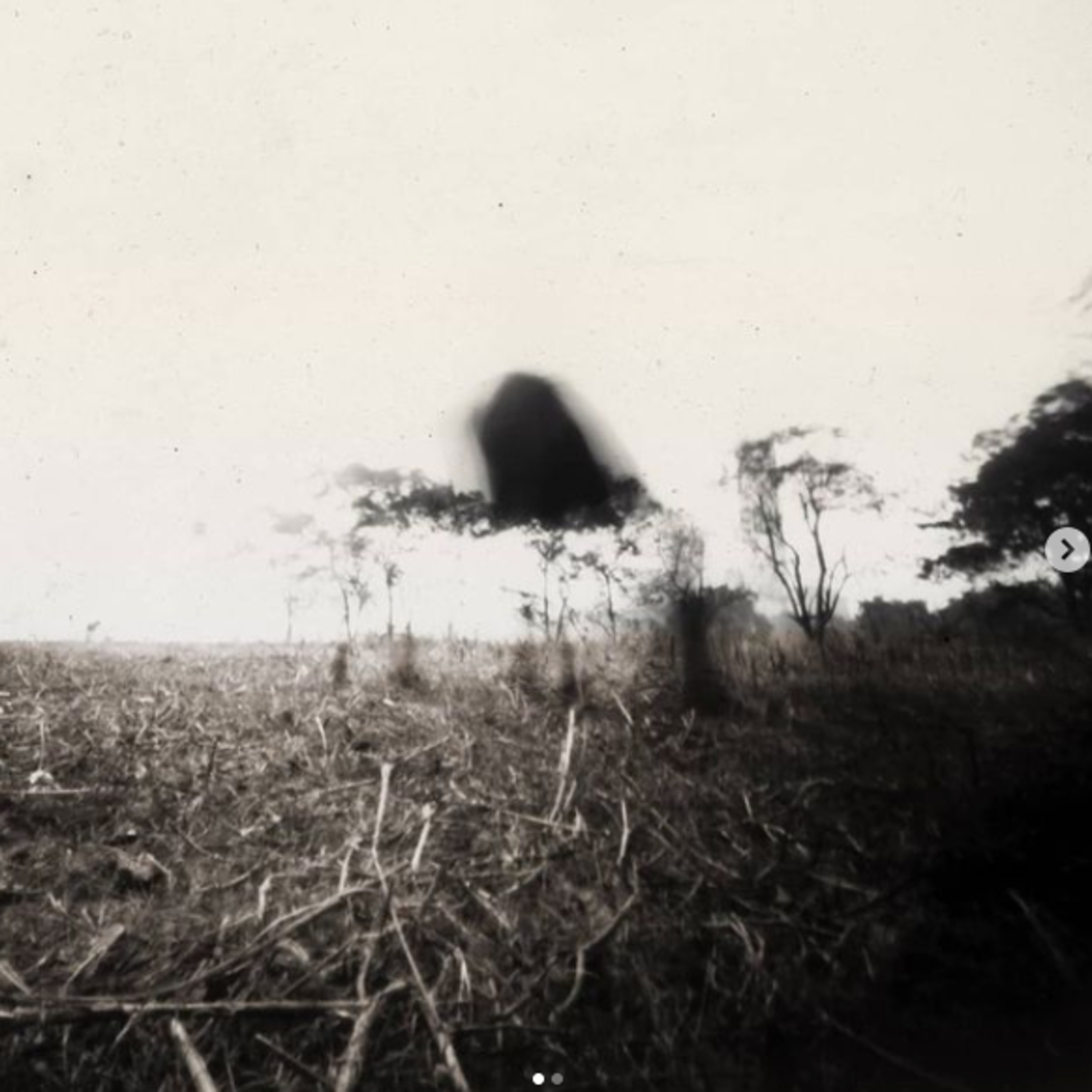 Photopocene