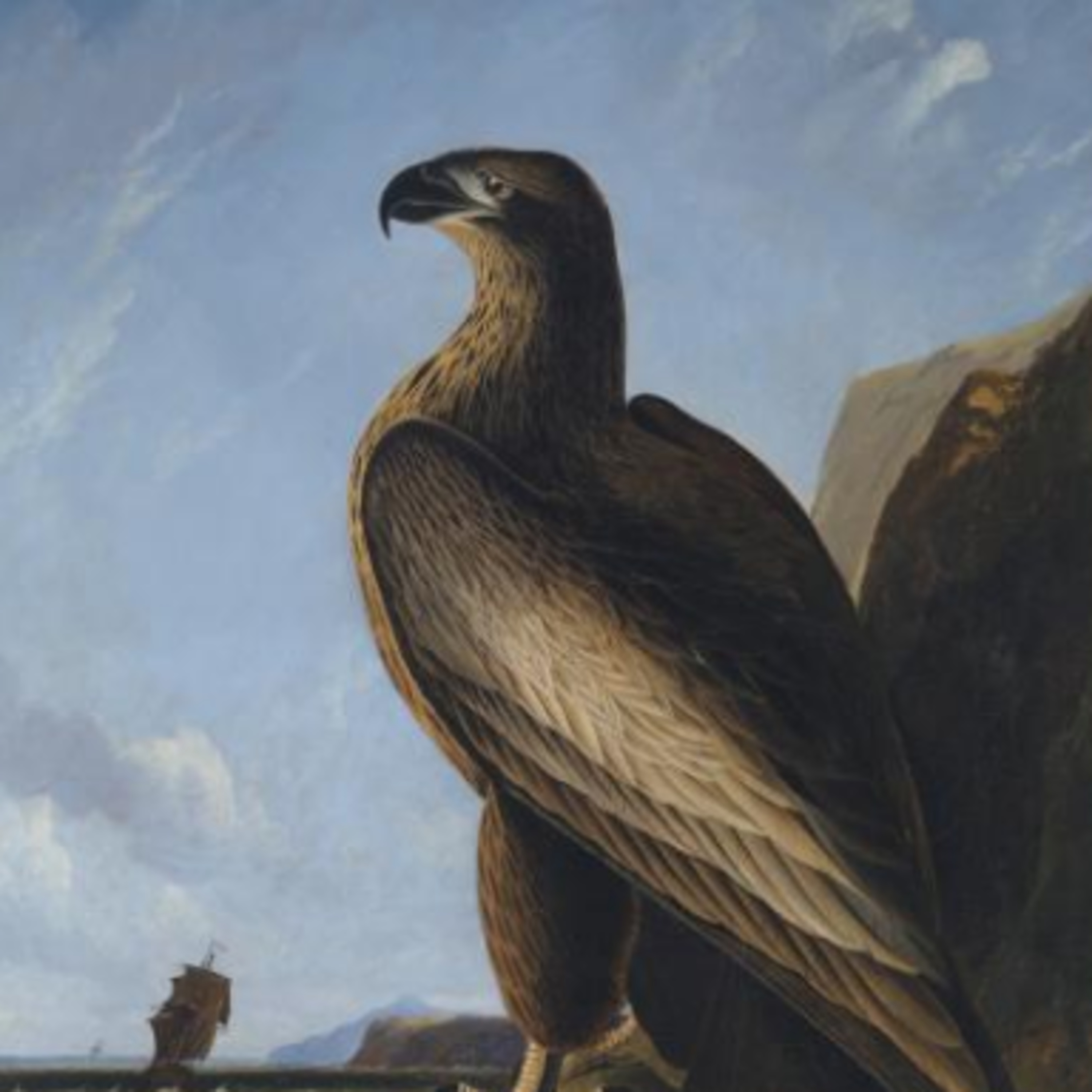 Crypto-Ornithology: Washington's Sea Eagle and the life of John James Audubon (with Brent Burton)