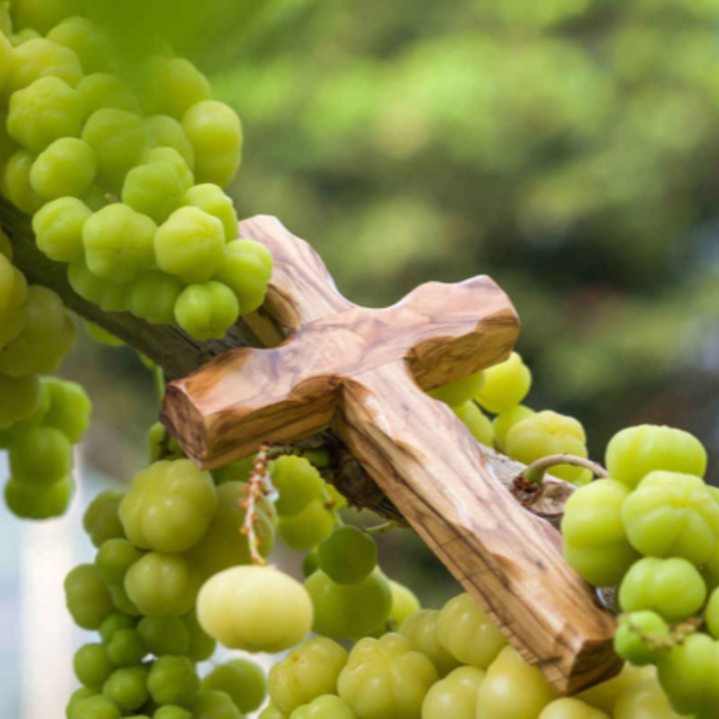 Useful and Fruitful - 2 Peter 1:1-11