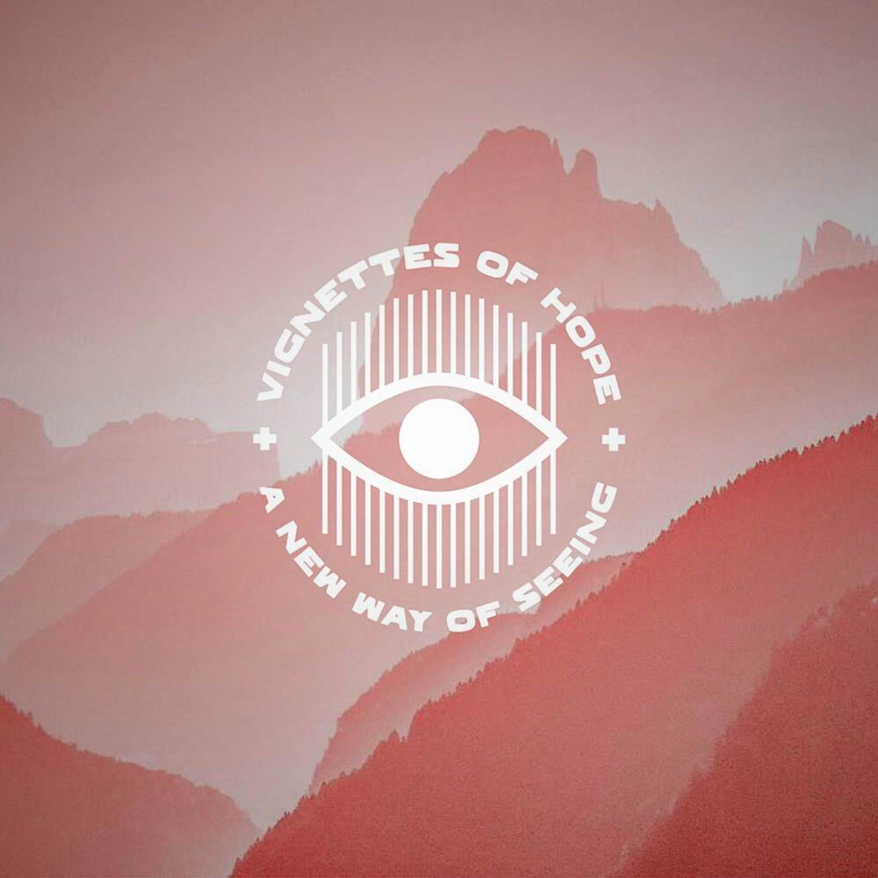 Vignettes of Hope: New Access by Rev. Dr. Paula Stone Williams